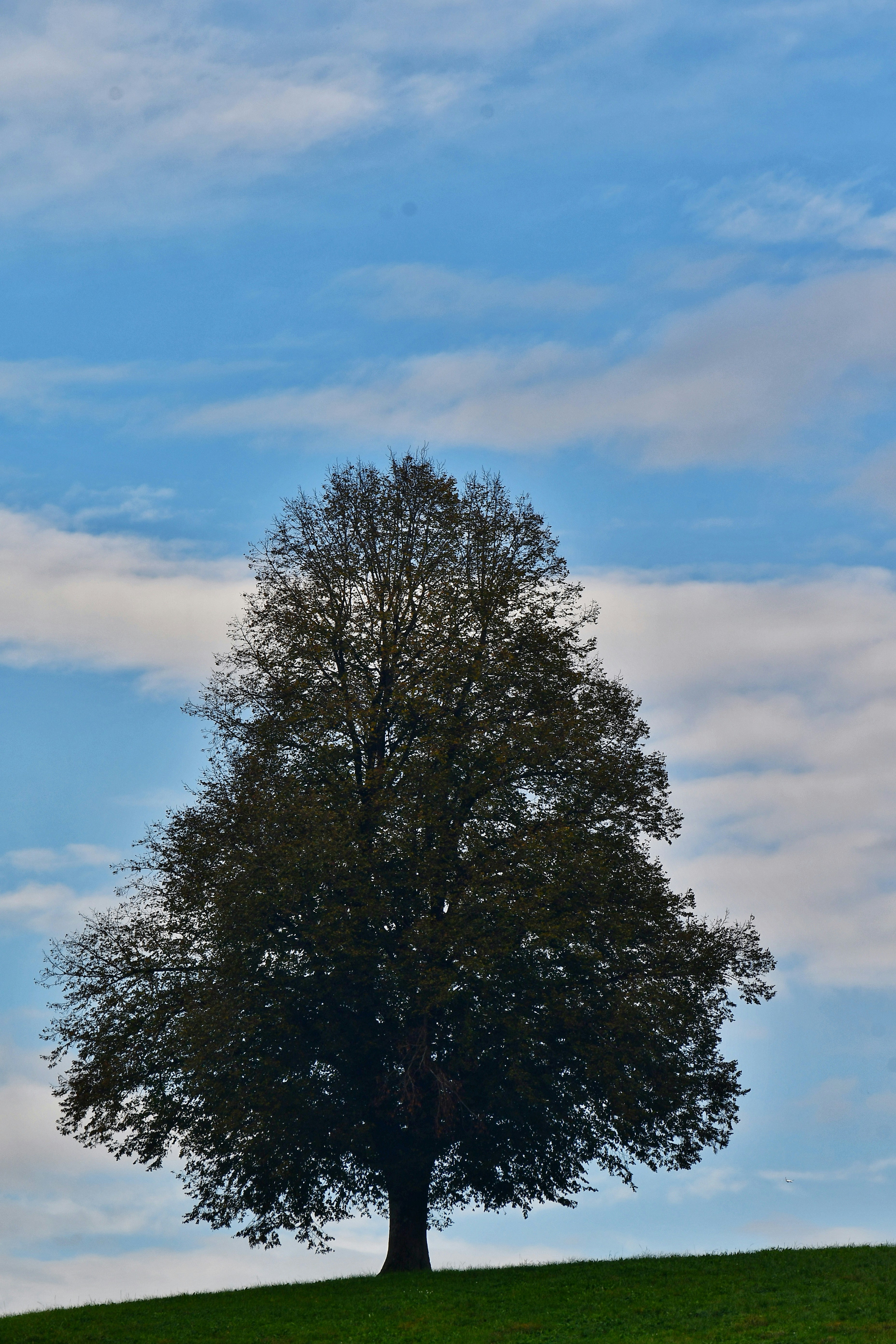 Photo by pedrino5_official