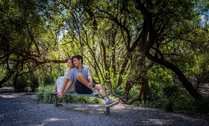 A man sitting on a bench in the middle of a forest
