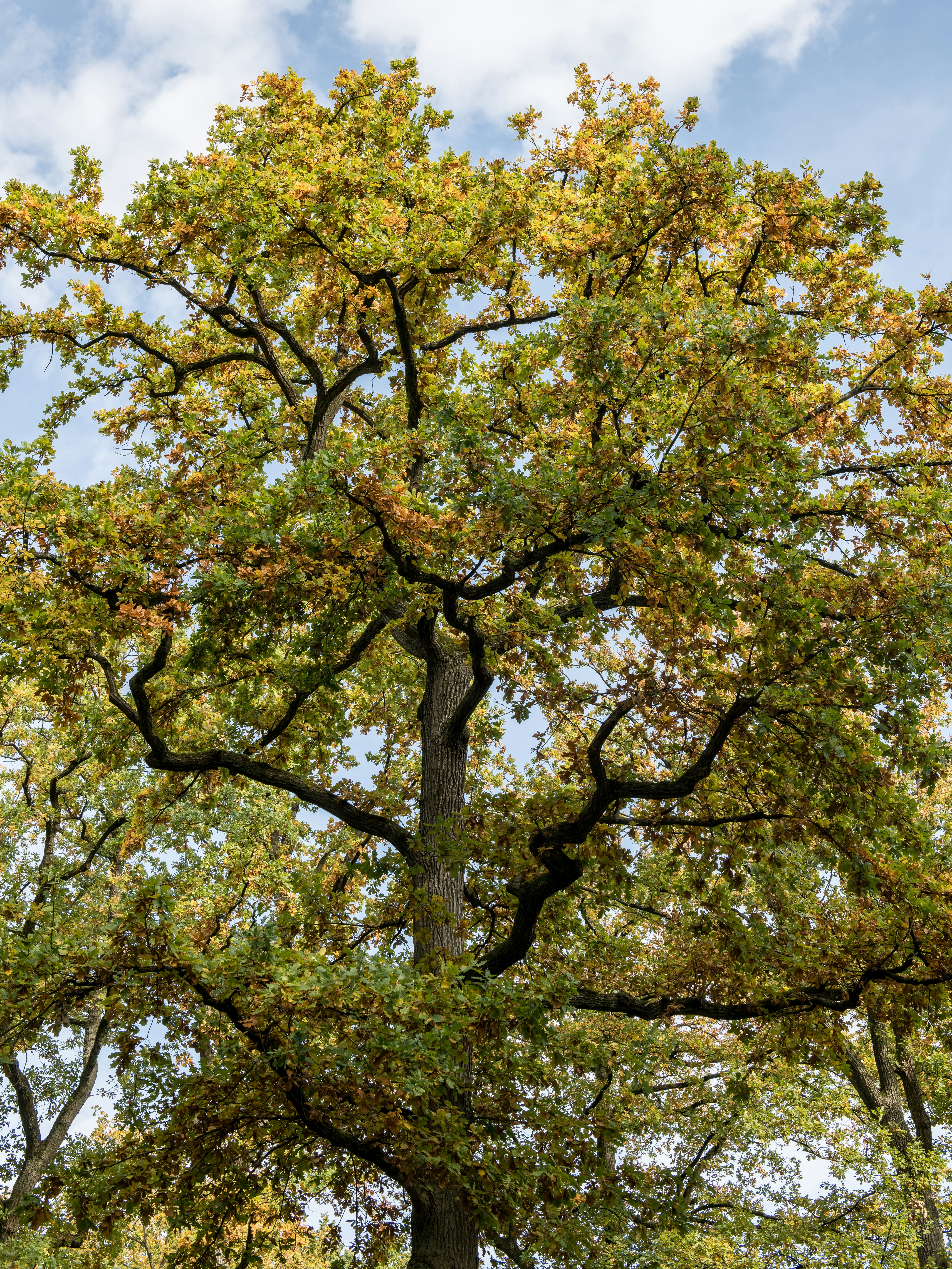 Photo by hamburgmeinefreundin