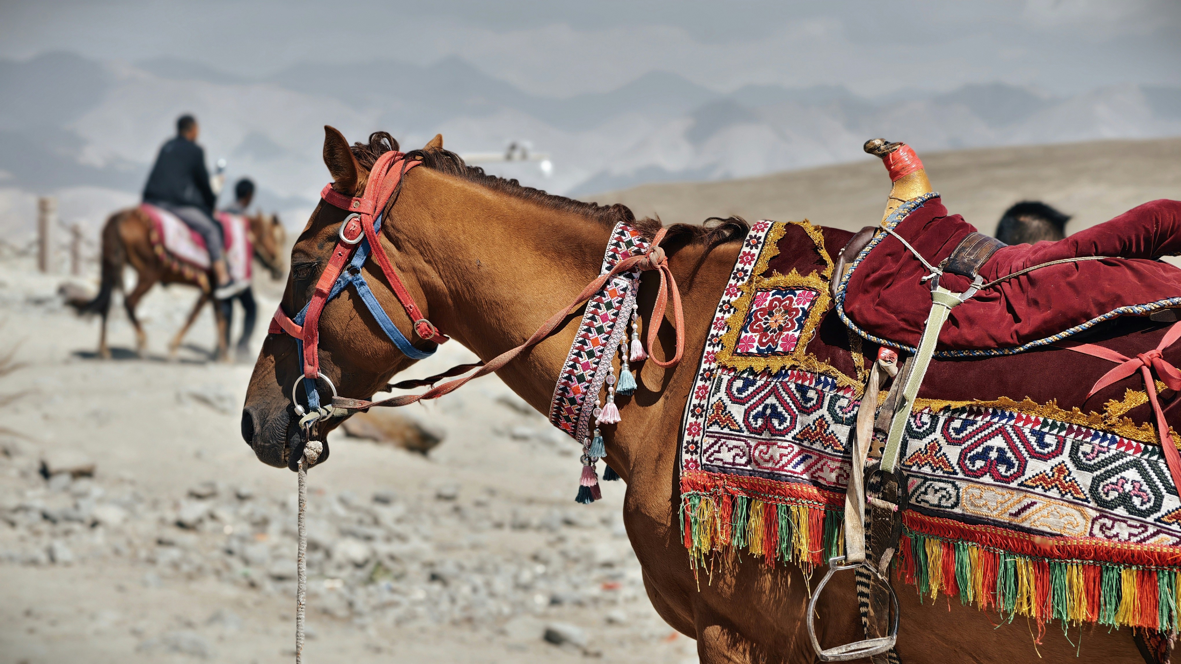 Photo by xiaoyulifish