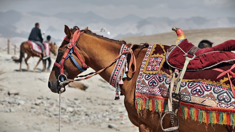 A brown horse with a saddle on its back