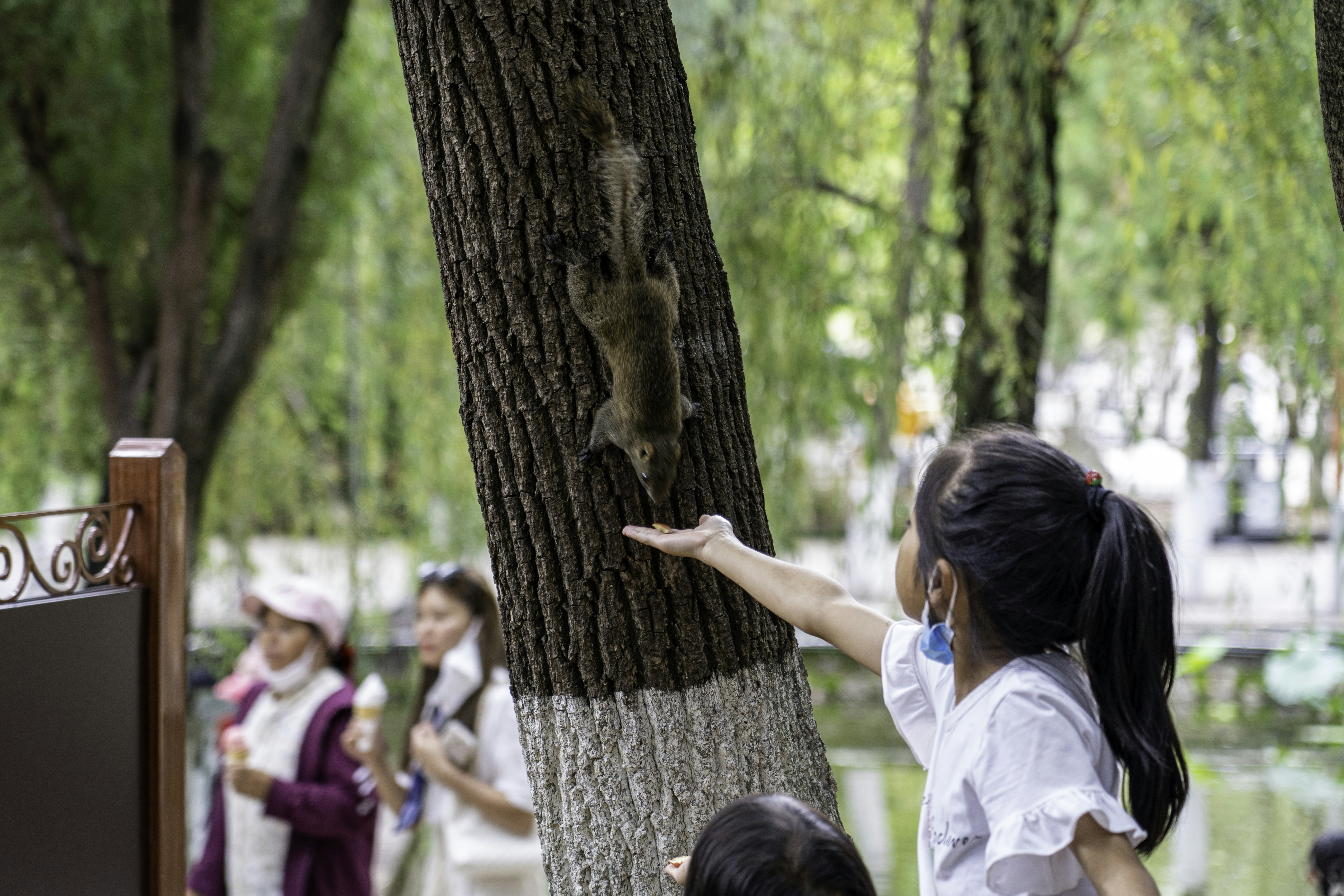 Un groupe de personnes debout autour d’un arbre