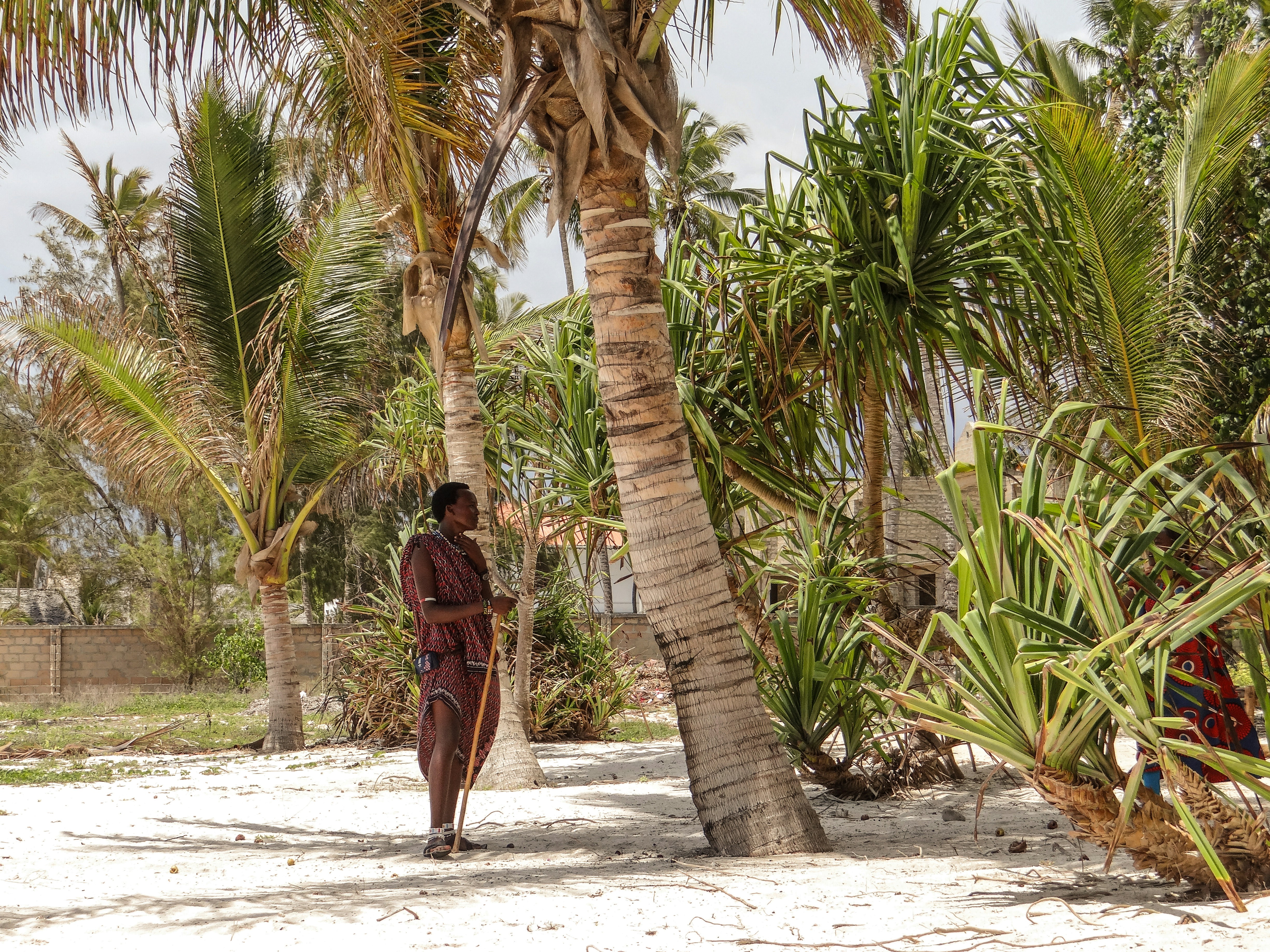 A man walking down a beach next to palm trees