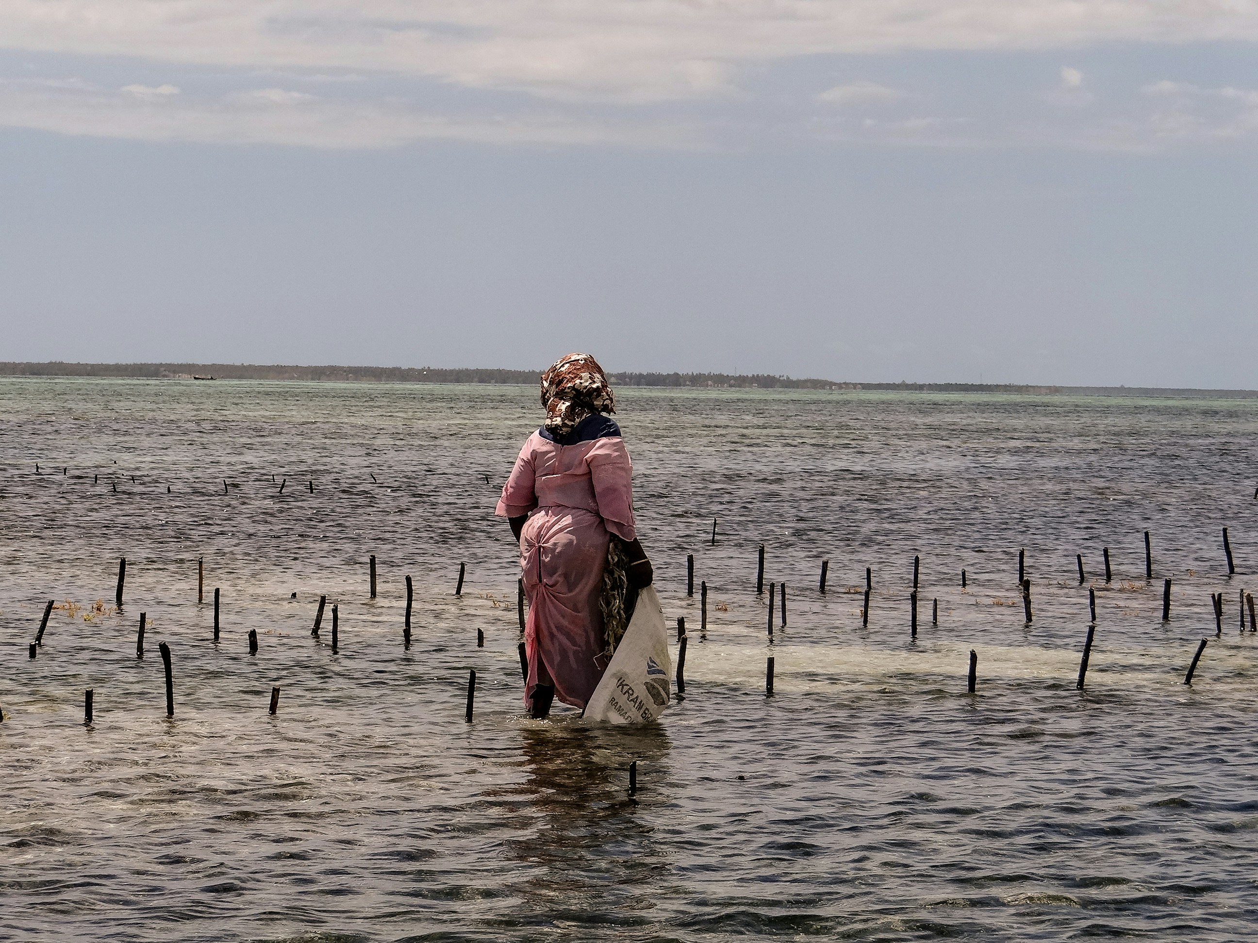 A person riding a horse through a body of water