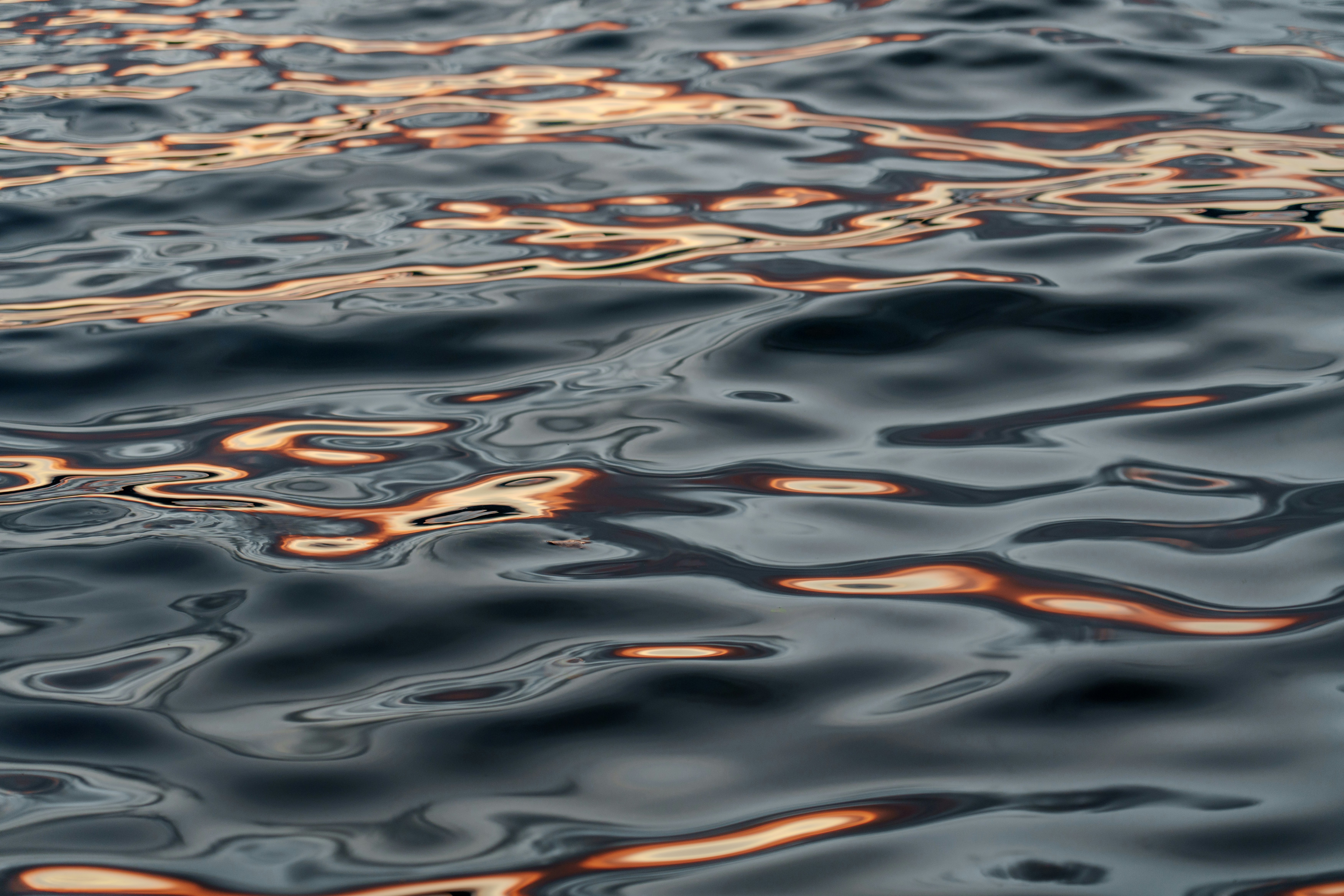 Photo by juniperphoton