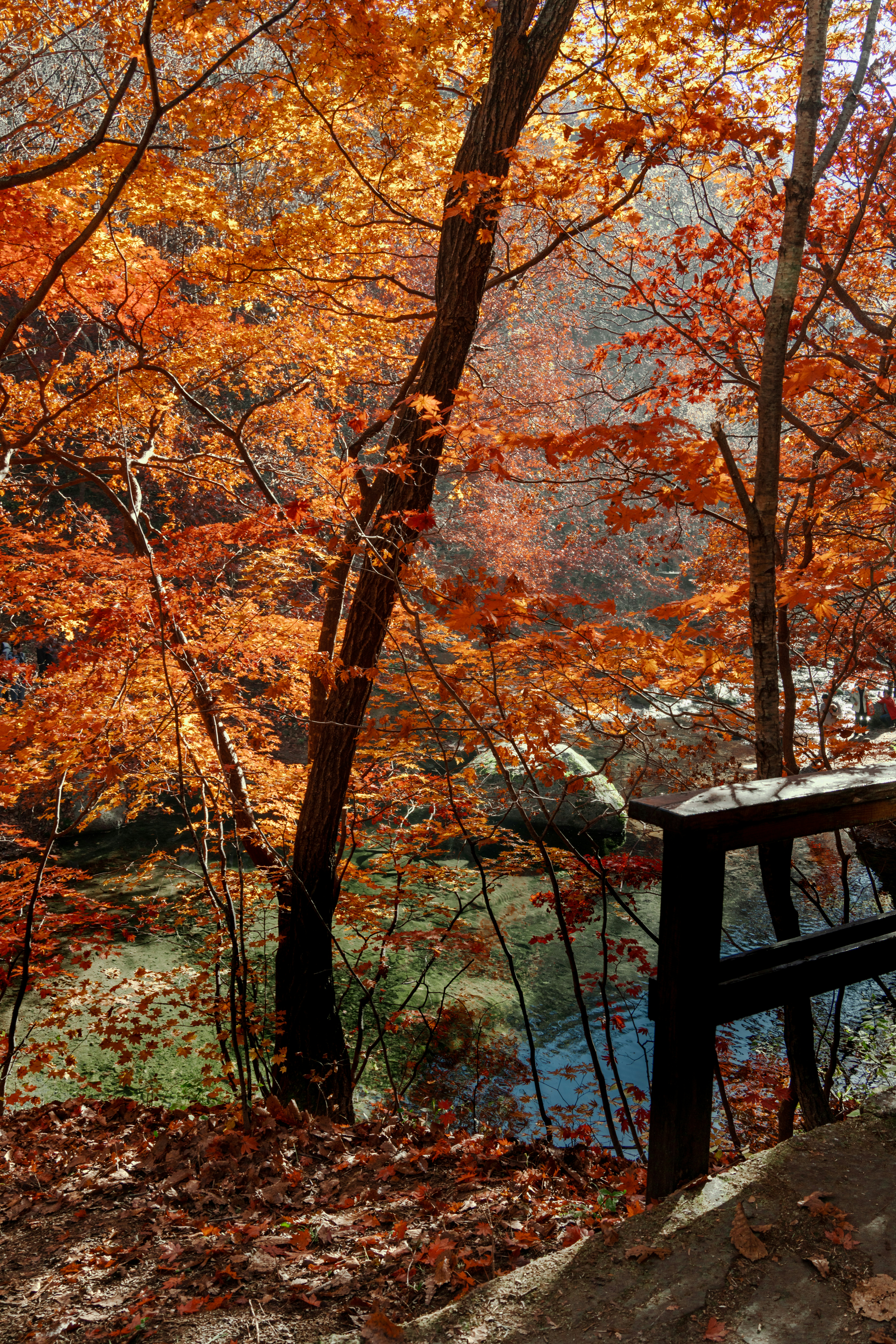 Photo by hattrick1996