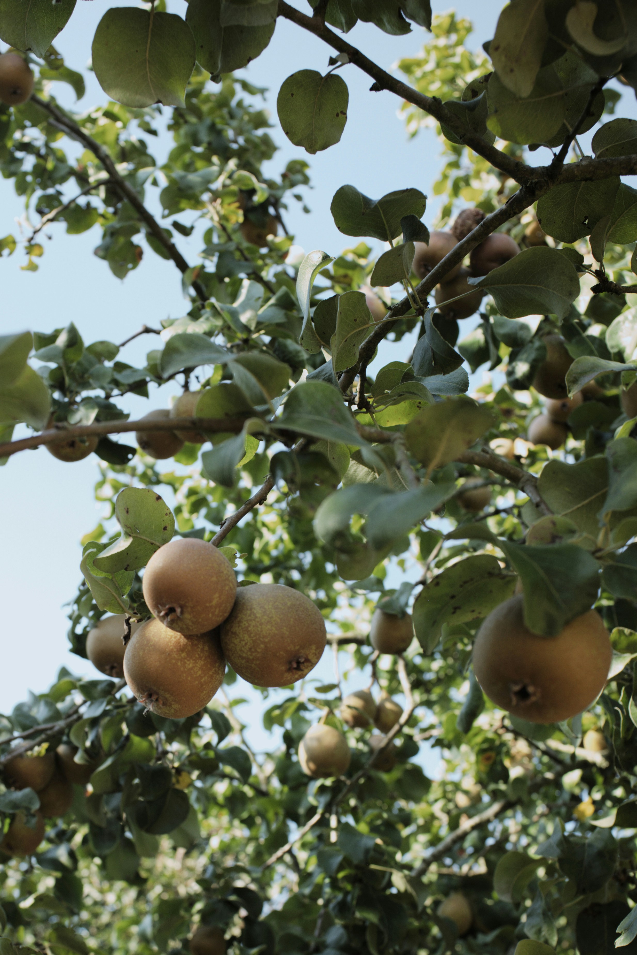 Photo by thomastygreat