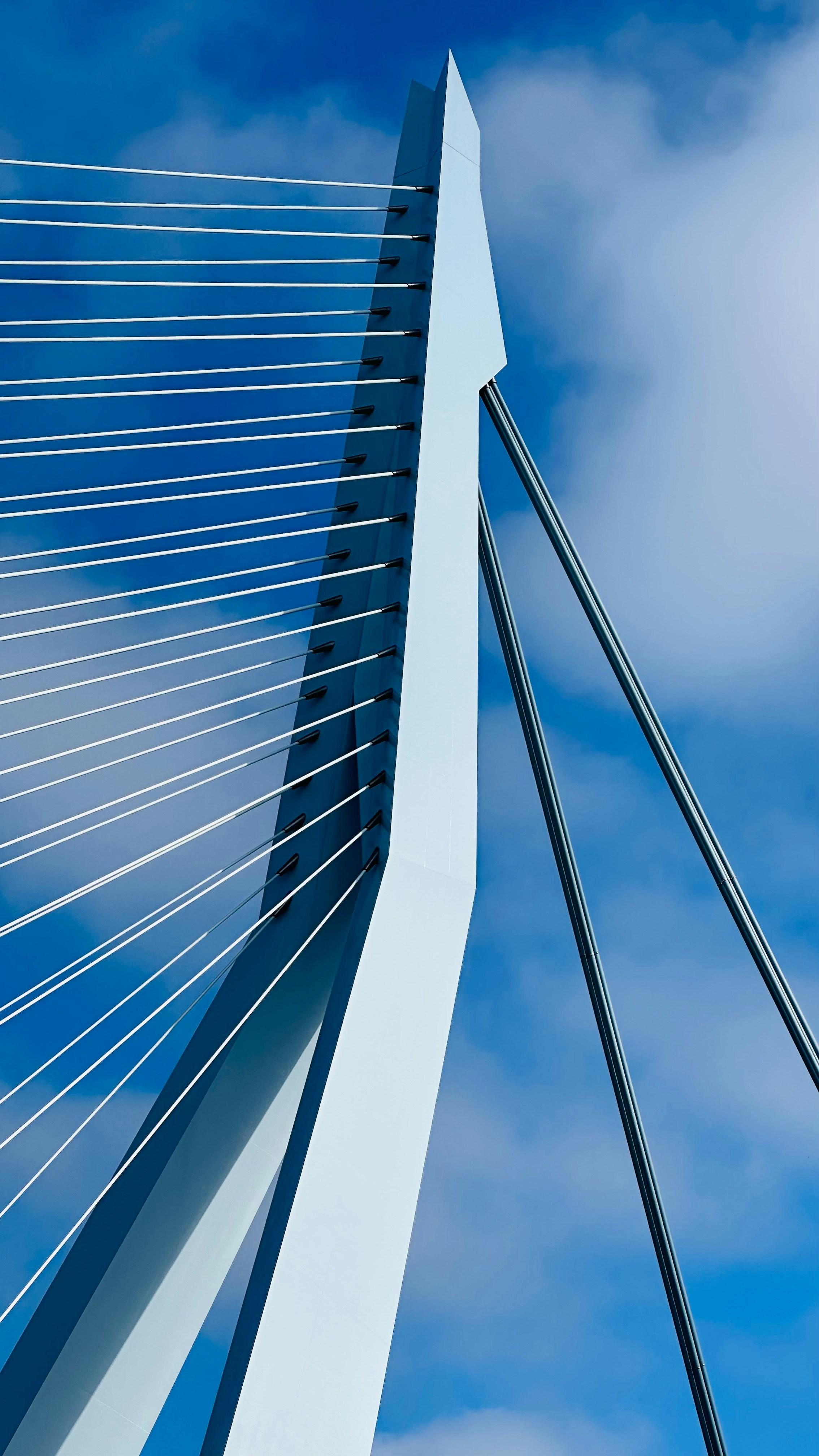 Photo by maartenscheer