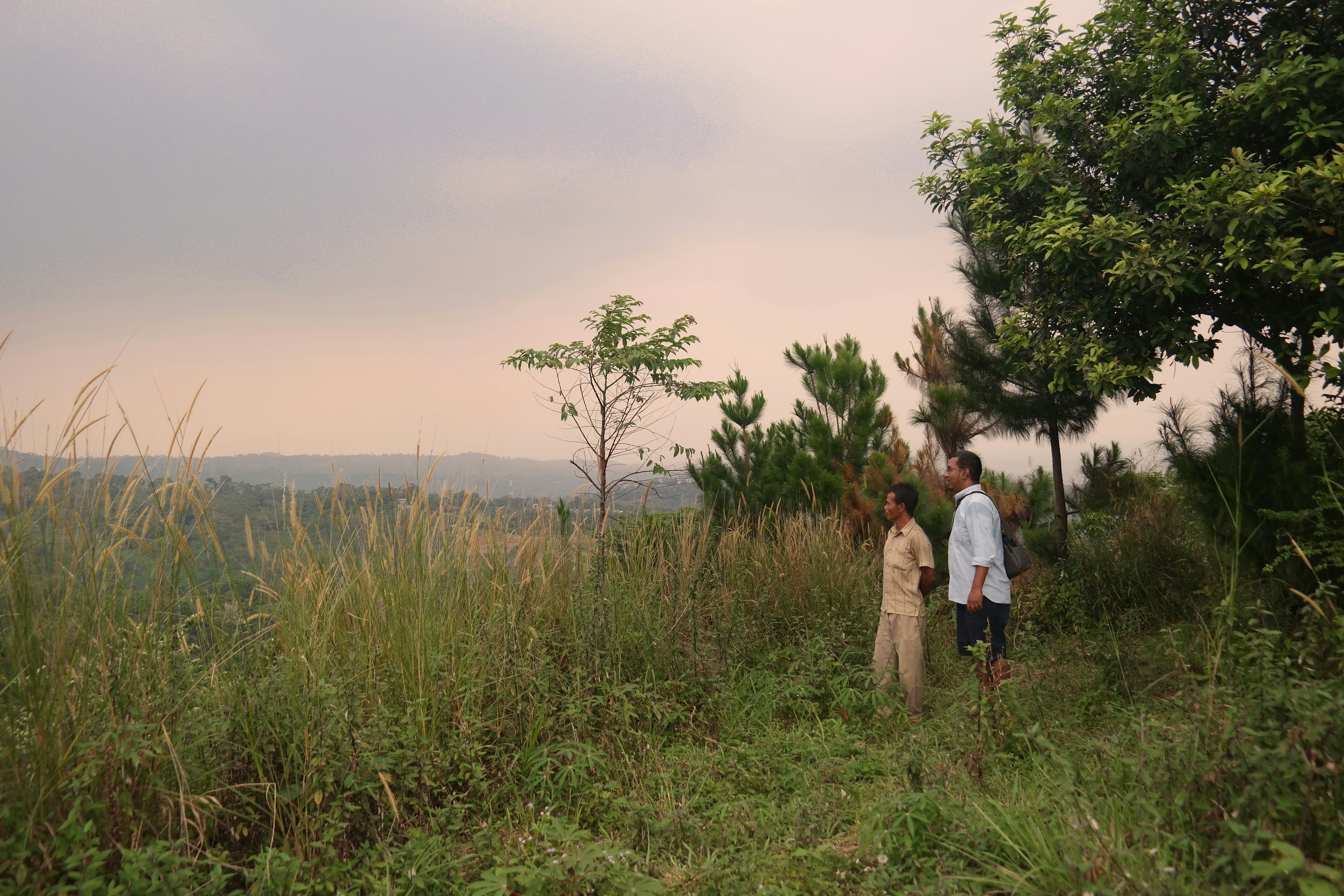 A couple of people standing on top of a lush green field