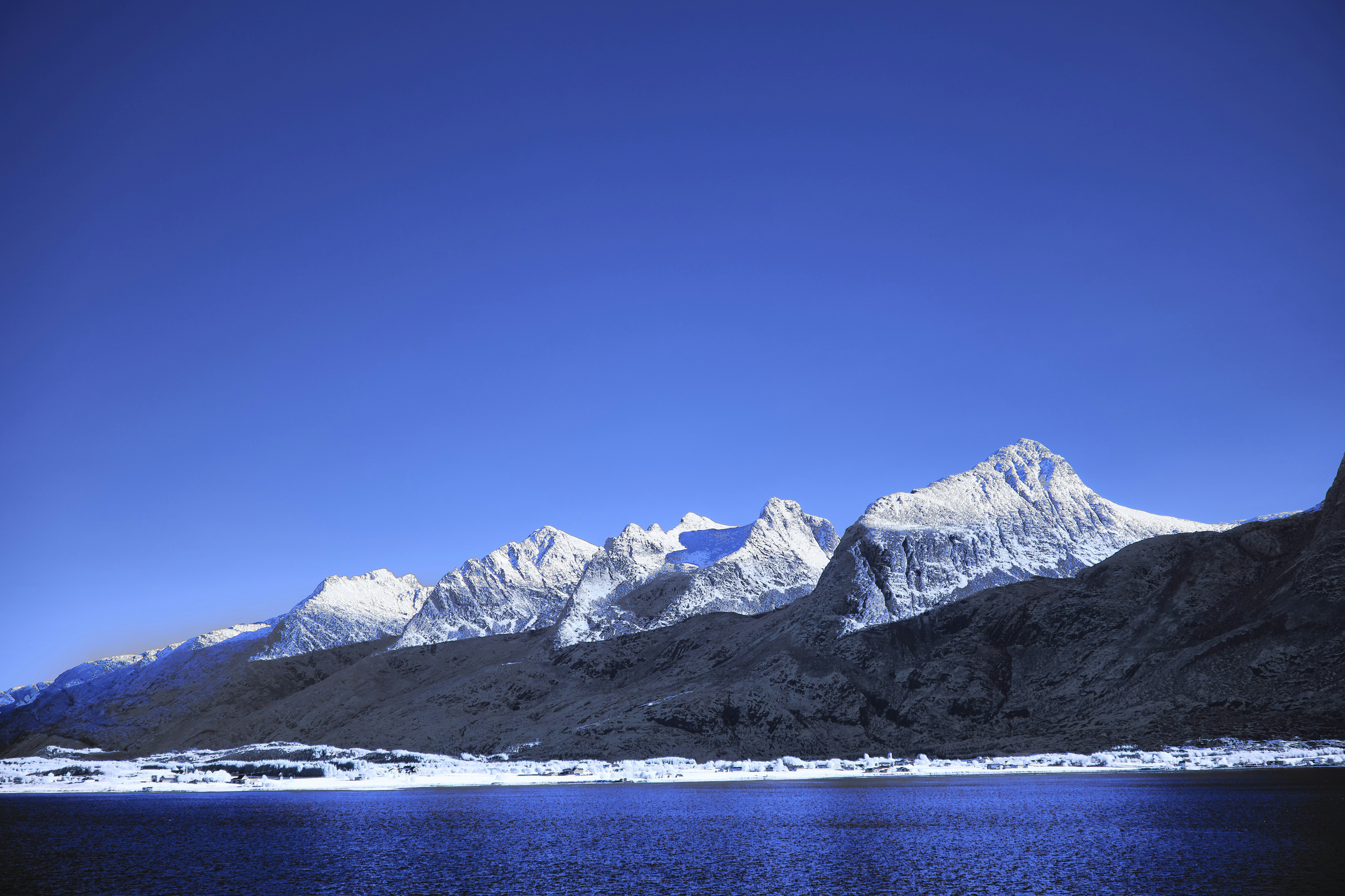 Photo by wolfgang_hasselmann