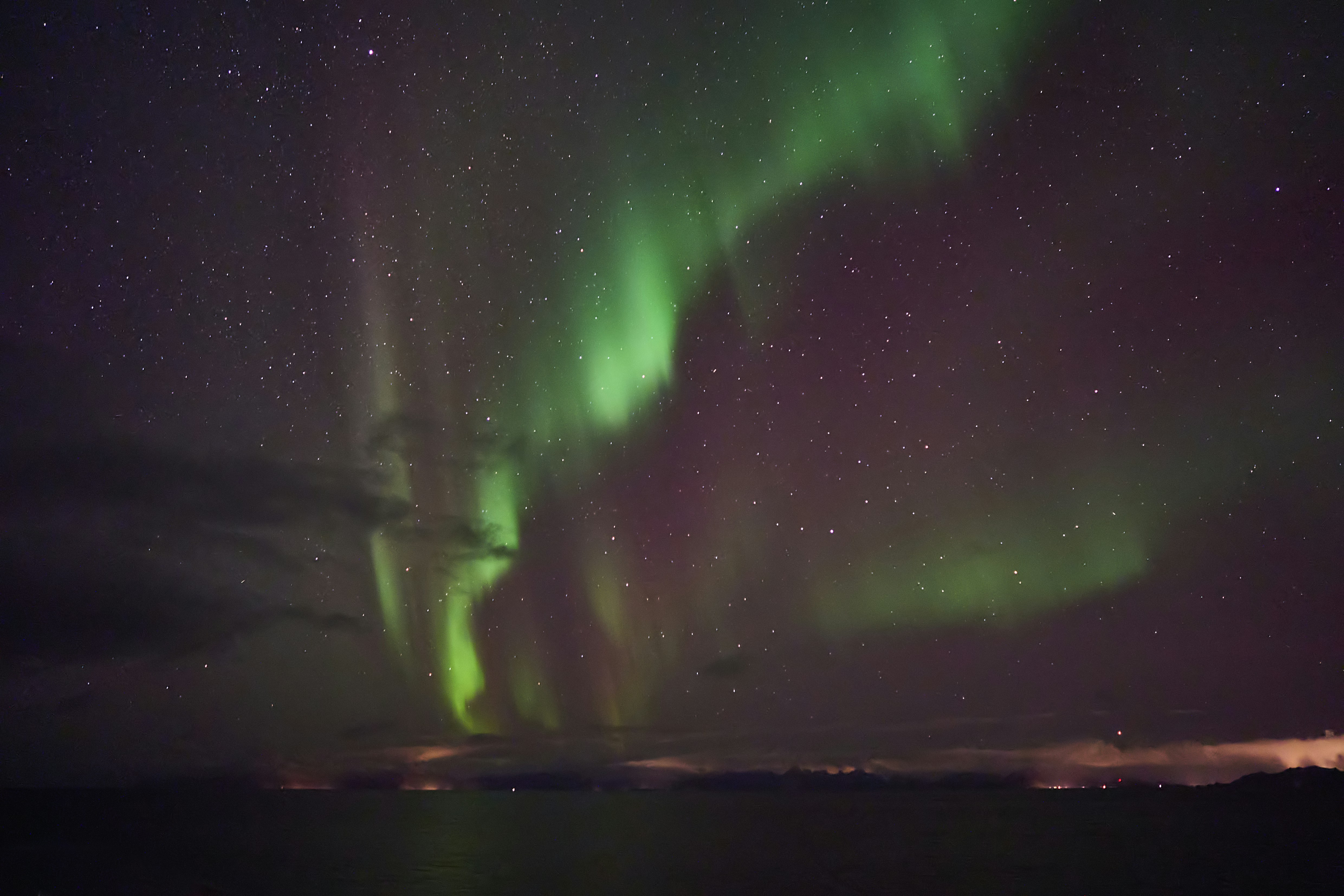 Photo by wolfgang_hasselmann