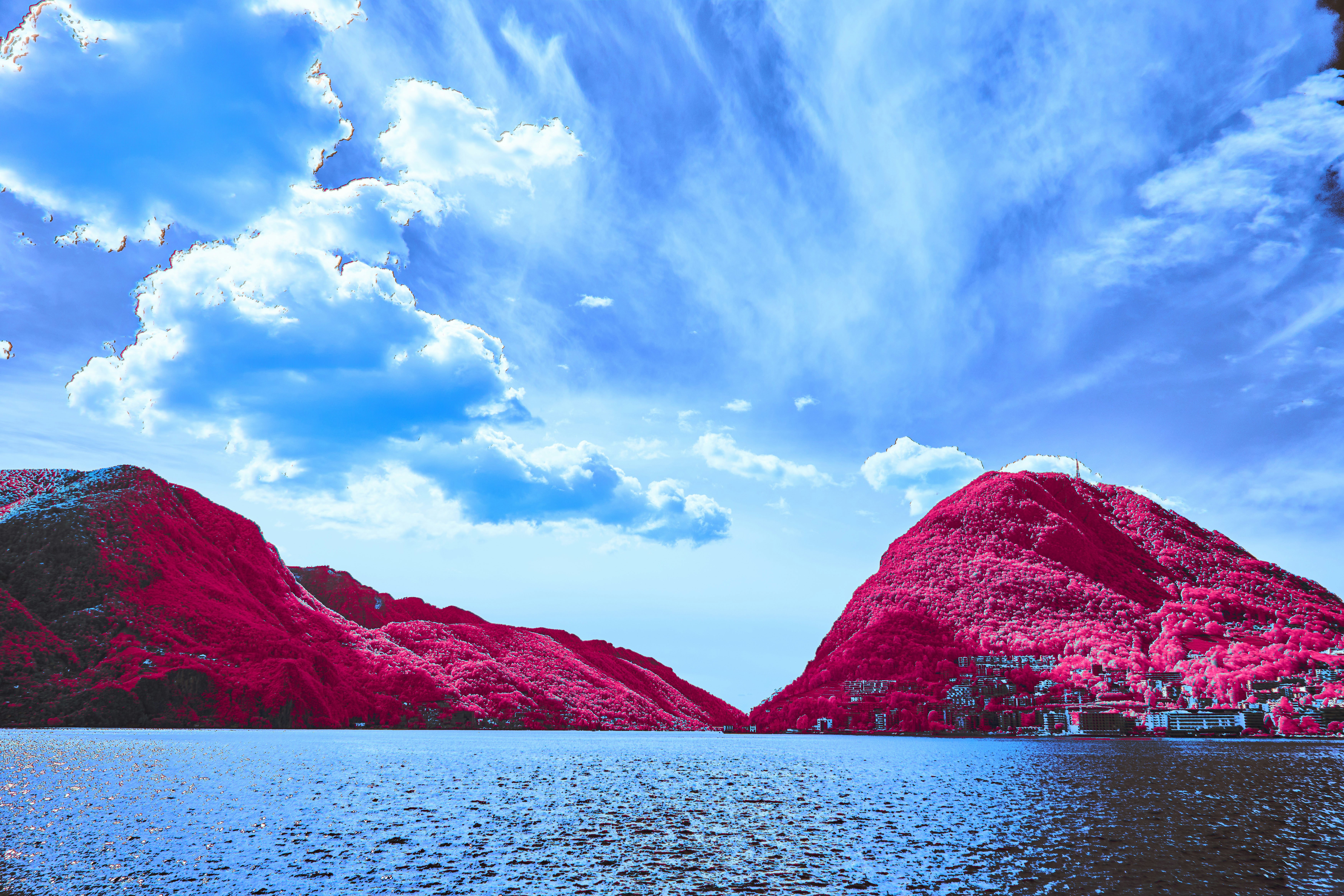 Photo by wolfgang_hasselmann