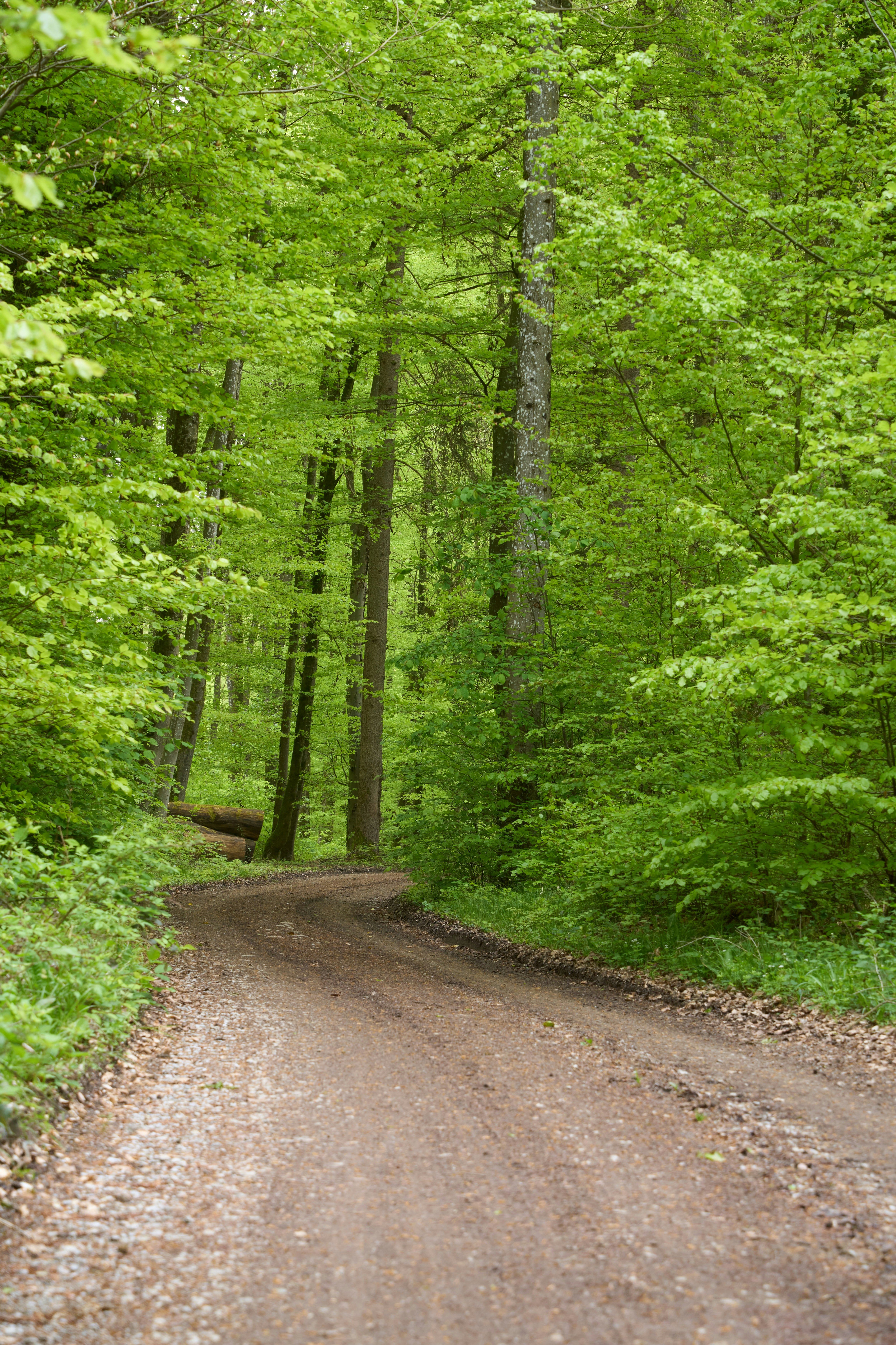 Photo by wolfgang_hasselmann