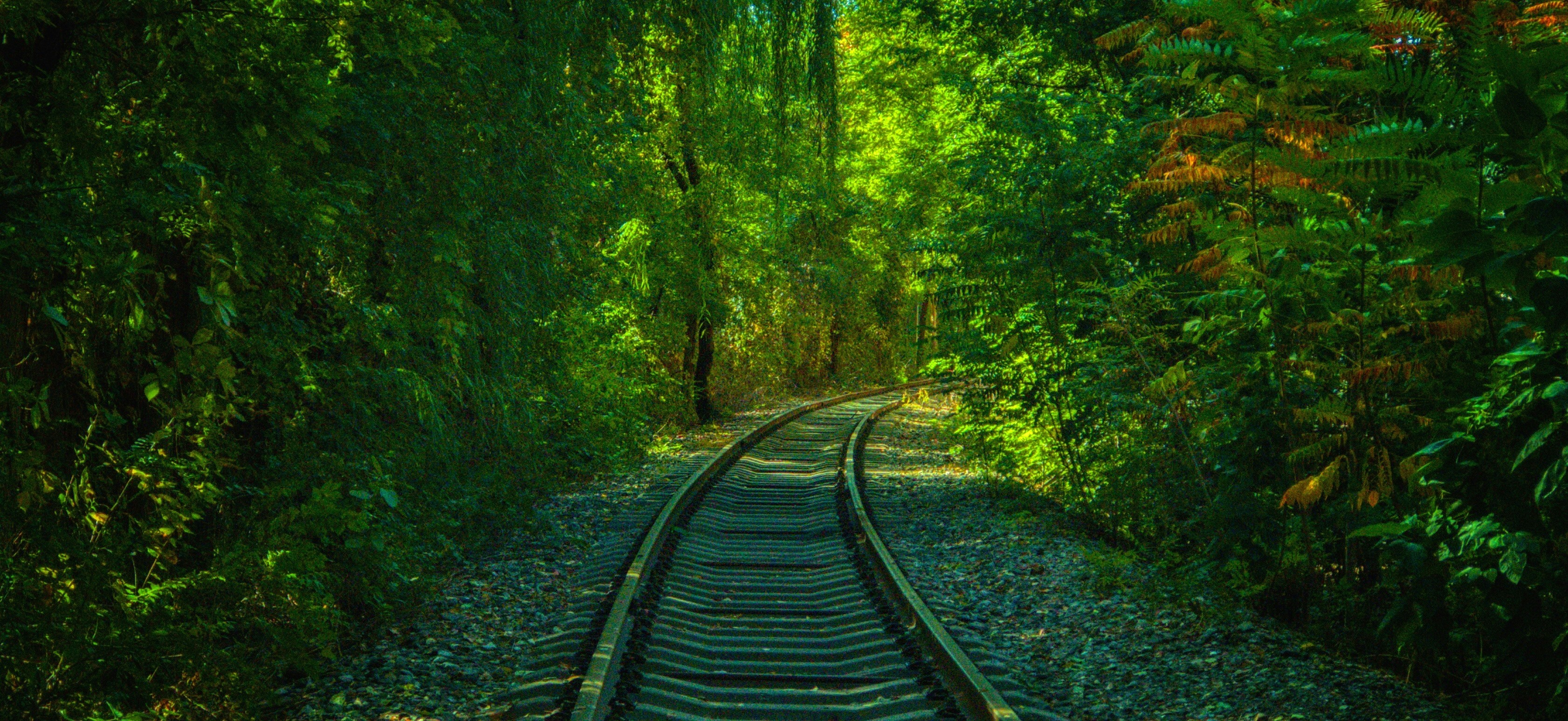 Photo by lyrax_photograph