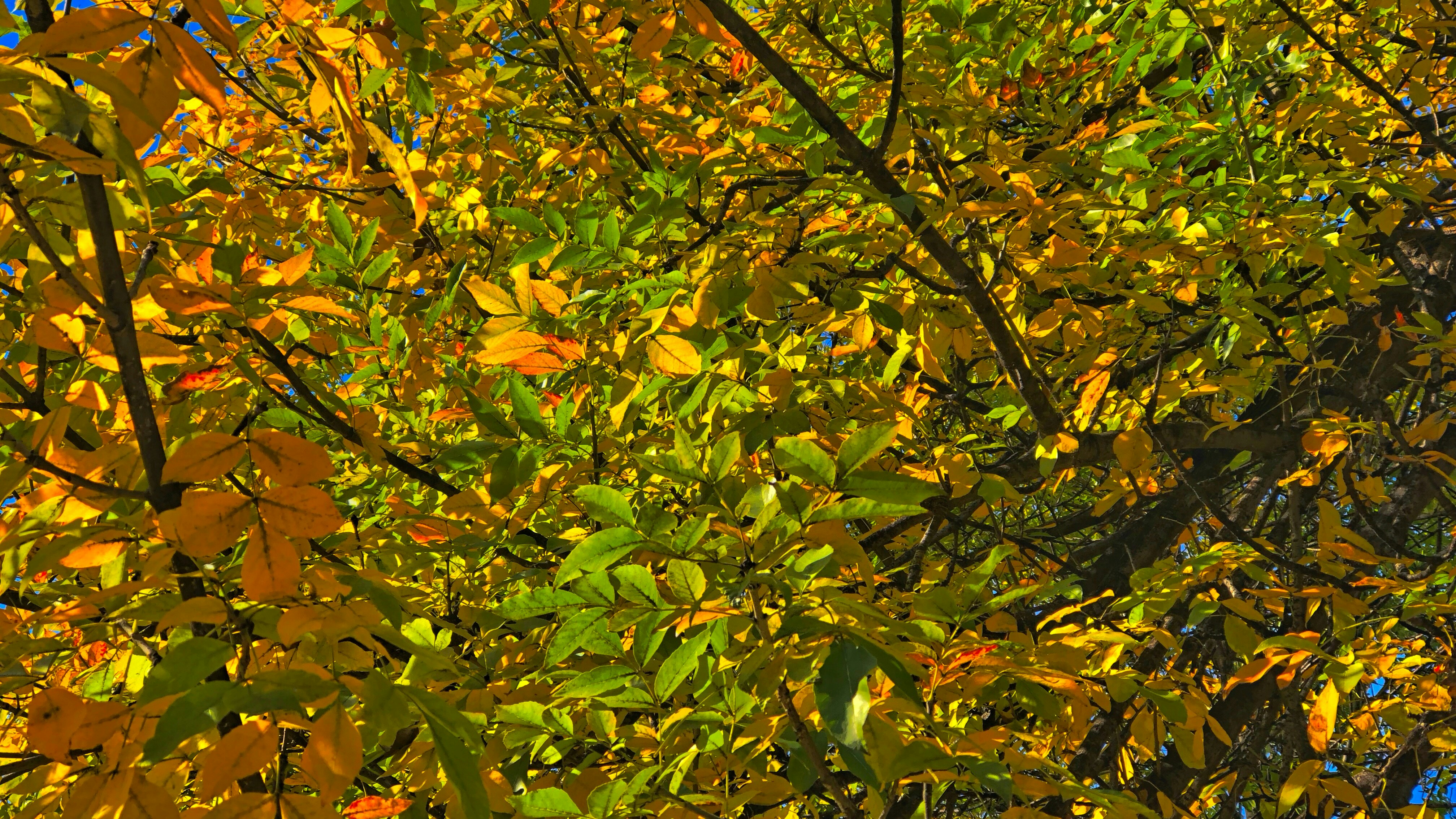 Photo by lyrax_photograph