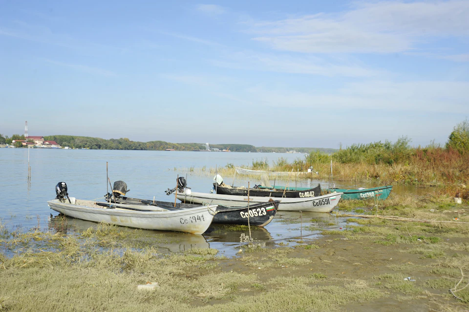 The image depicts a serene scene at a lake, with three boats moored on the shore. The first boat is painted white and has the number "54" on its side. The second boat is green and bears the number "6" on it. The third boat is gray and displays the number "73" on its side. All three boats are anchored in a shallow area of water, with grasses visible nearby. In the distance, there's a line of trees that adds to the picturesque setting.