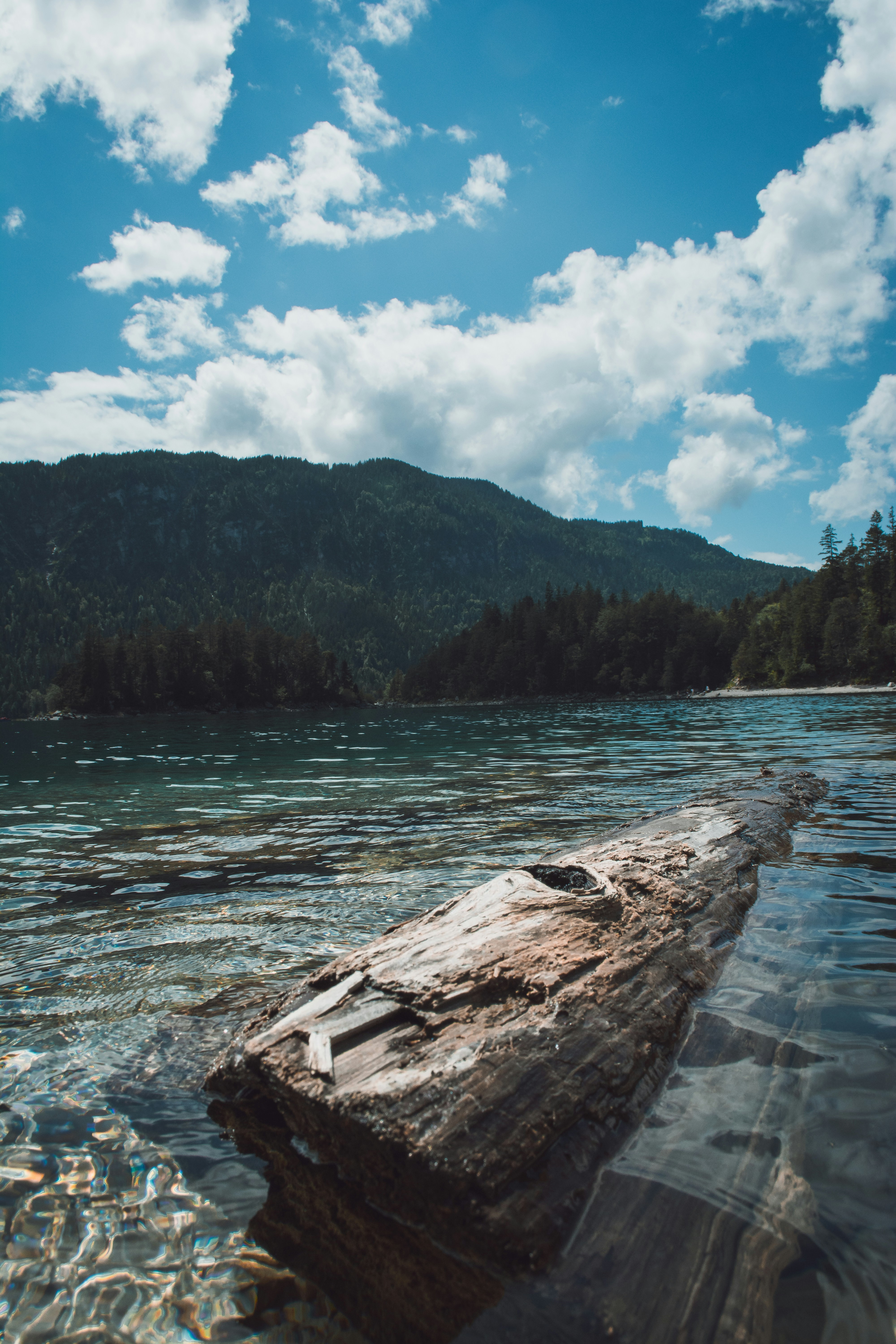 A close-up view of a log floating in the clear, calm waters of a mountain lake. The backdrop features forested hills and a distant mountain range under a bright blue sky dotted with fluffy clouds. The water's surface reflects the sky and surrounding landscape, adding to the tranquility of the scene.