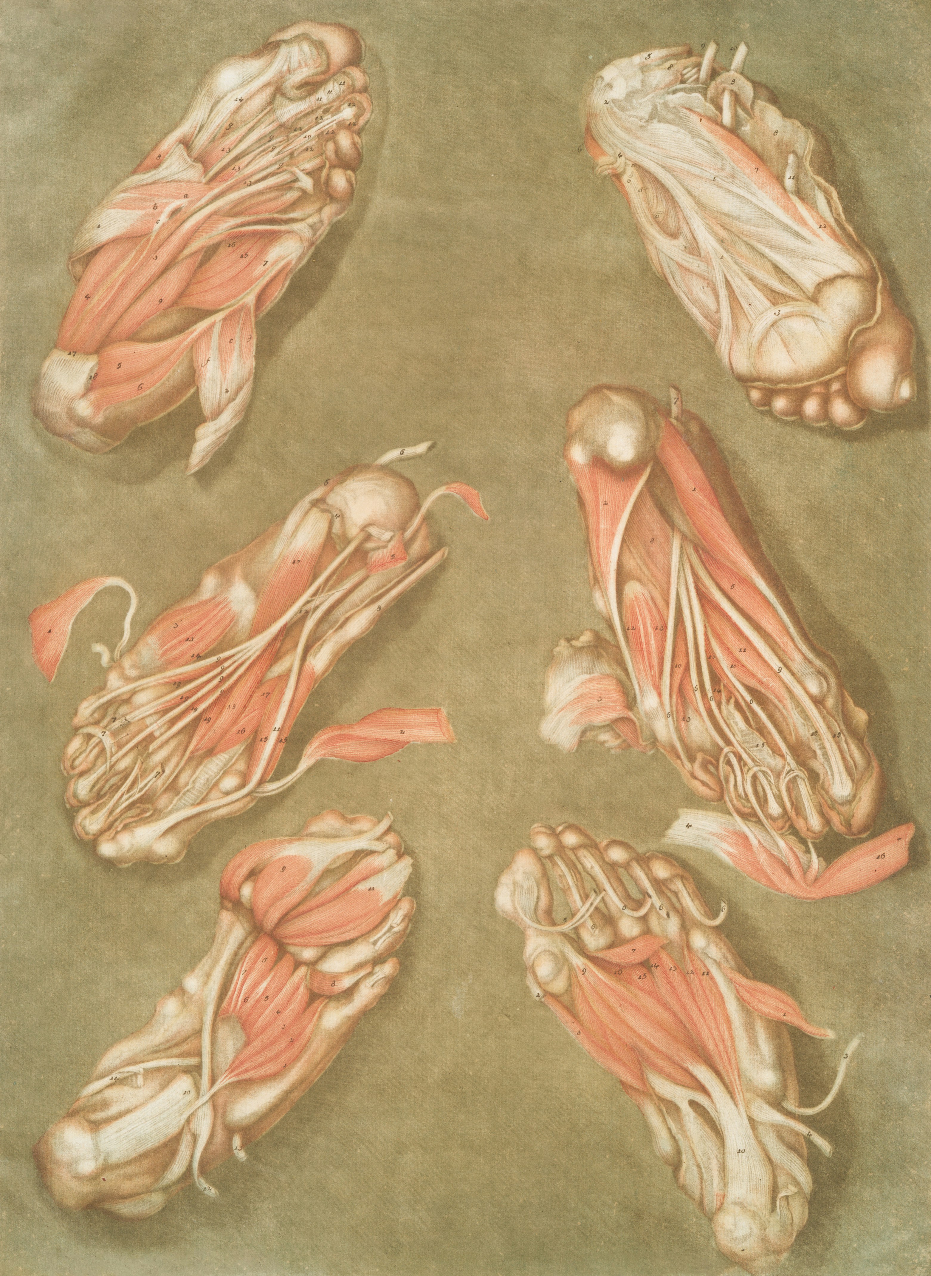 Telavi – Neighborhoods & Urban Structure