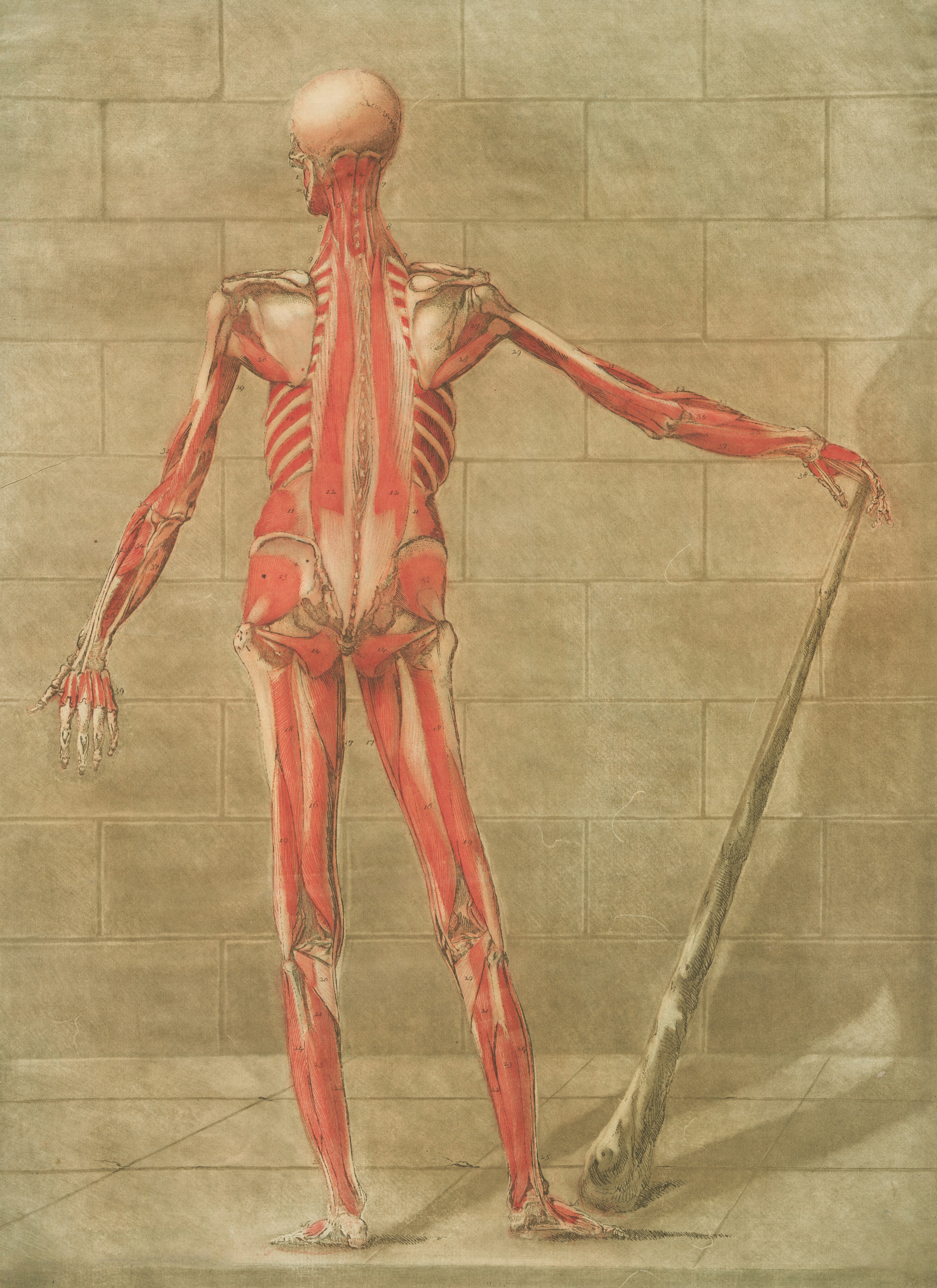 How MS Affects Language Skills: What You Should Know