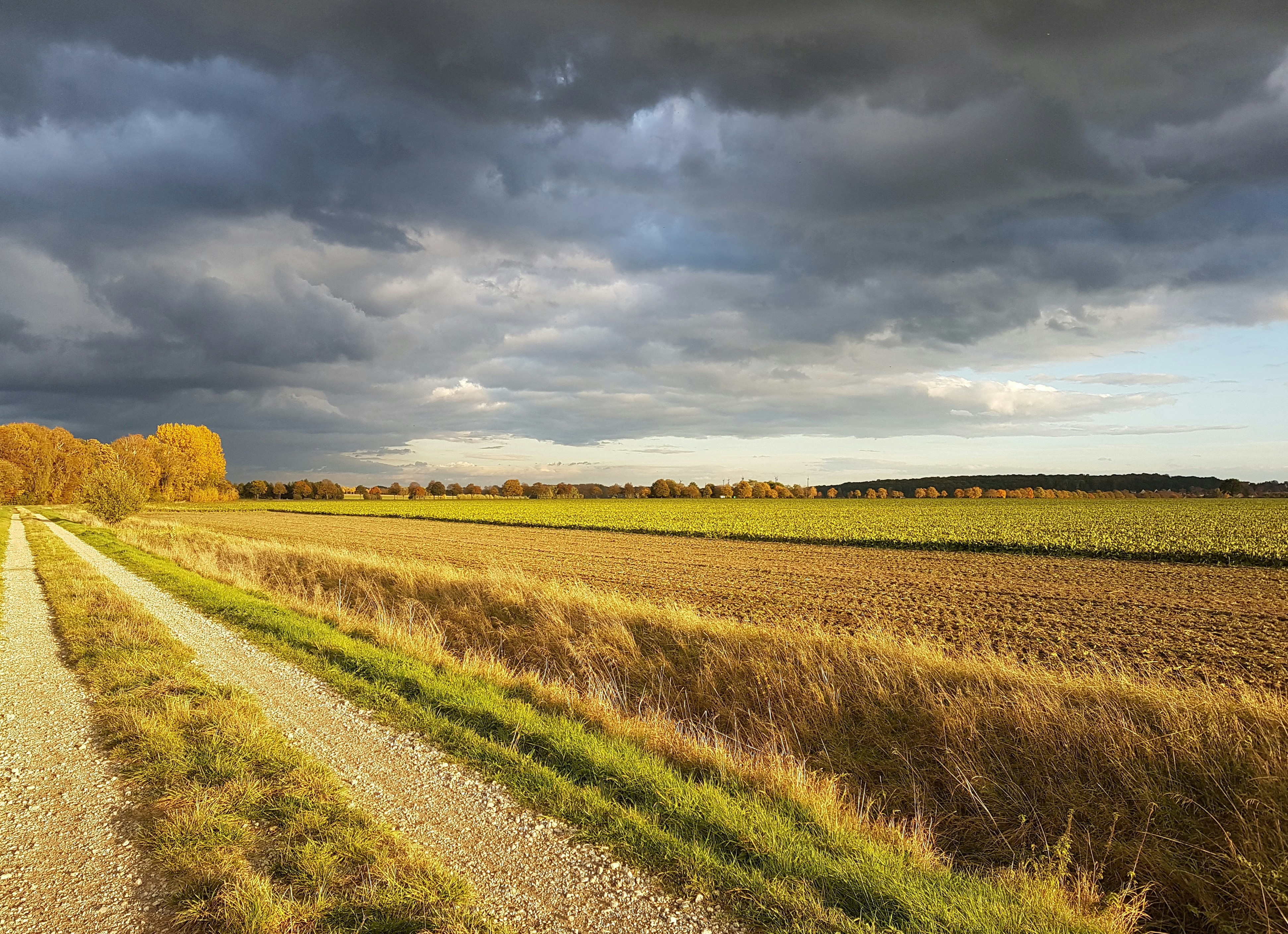 Photo by bauchredner