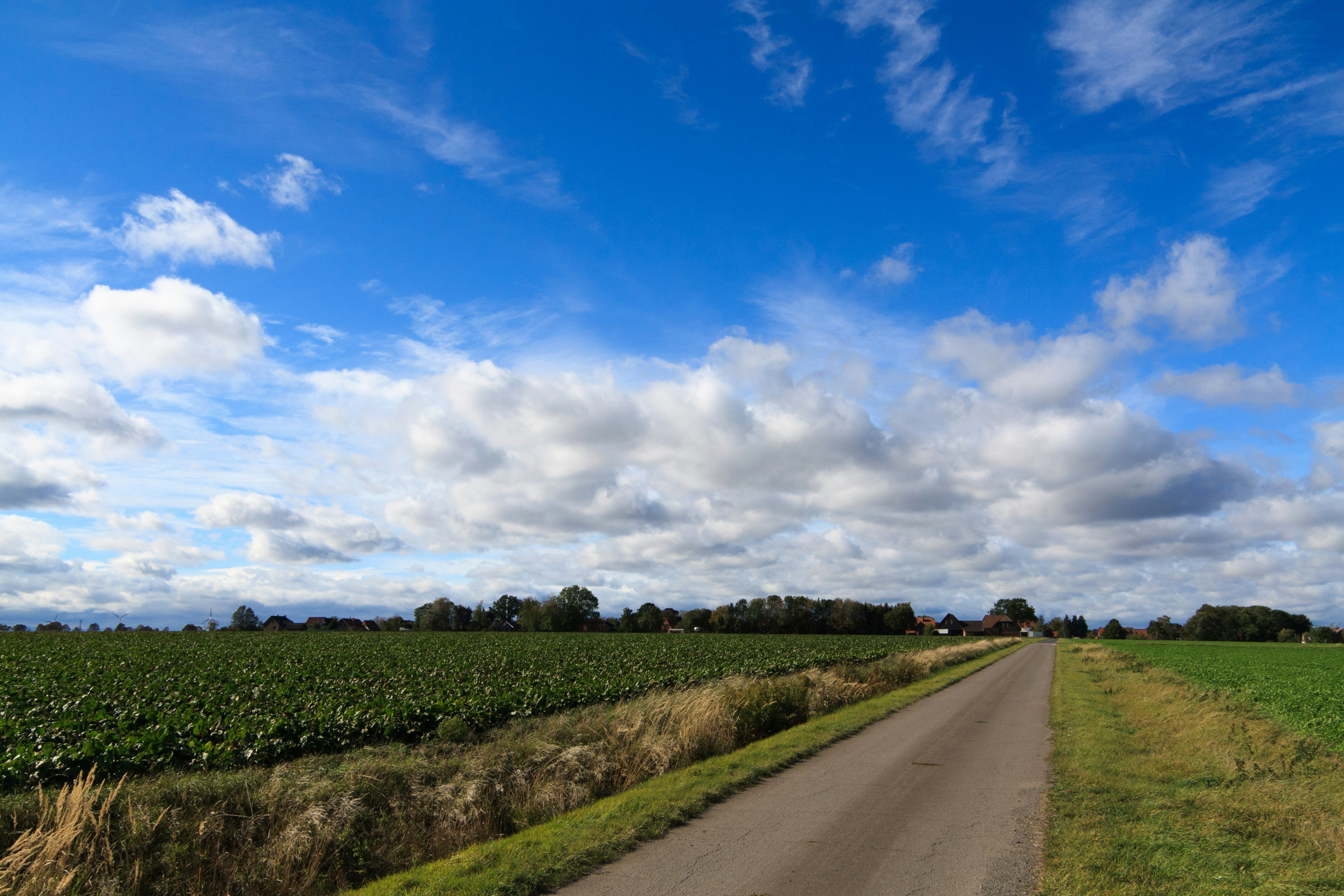 A road going through a green field under a blue sky