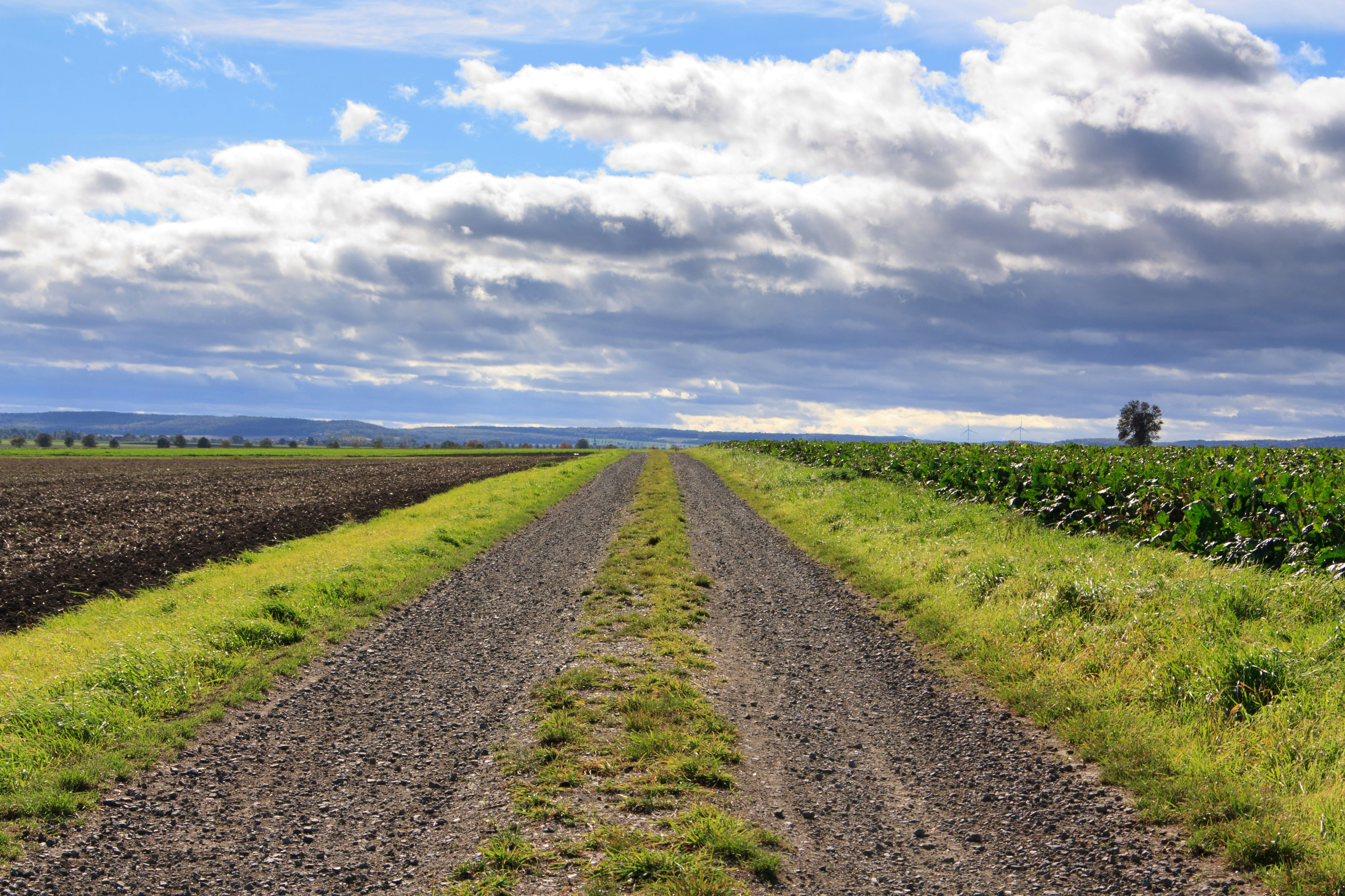 Photo by bauchredner