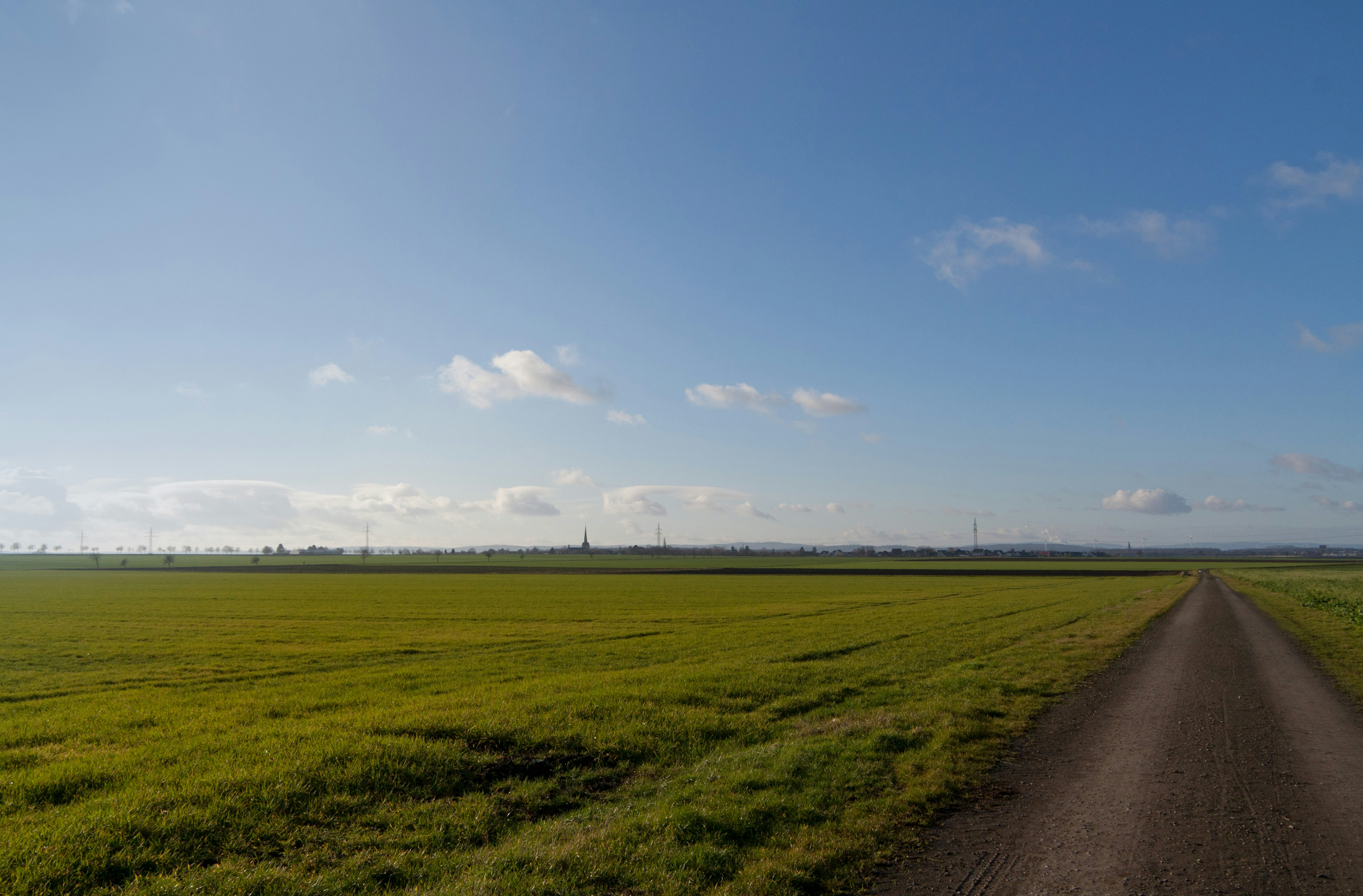 A dirt road in the middle of a green field