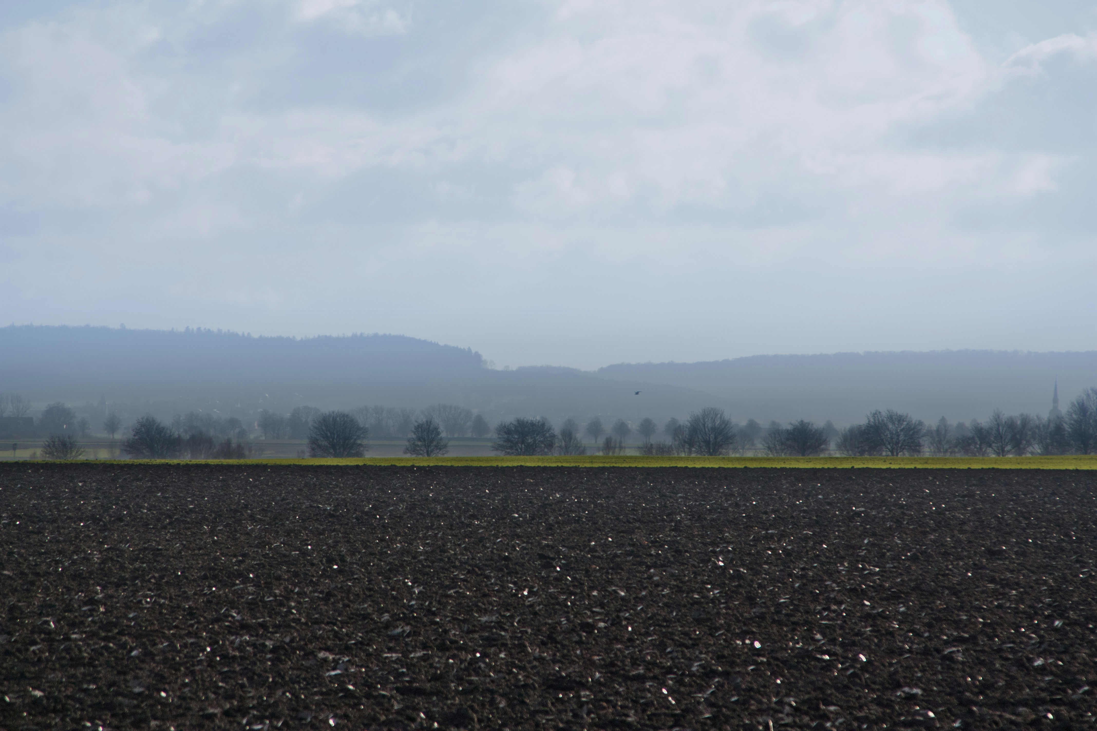 A plowed field with mountains in the distance