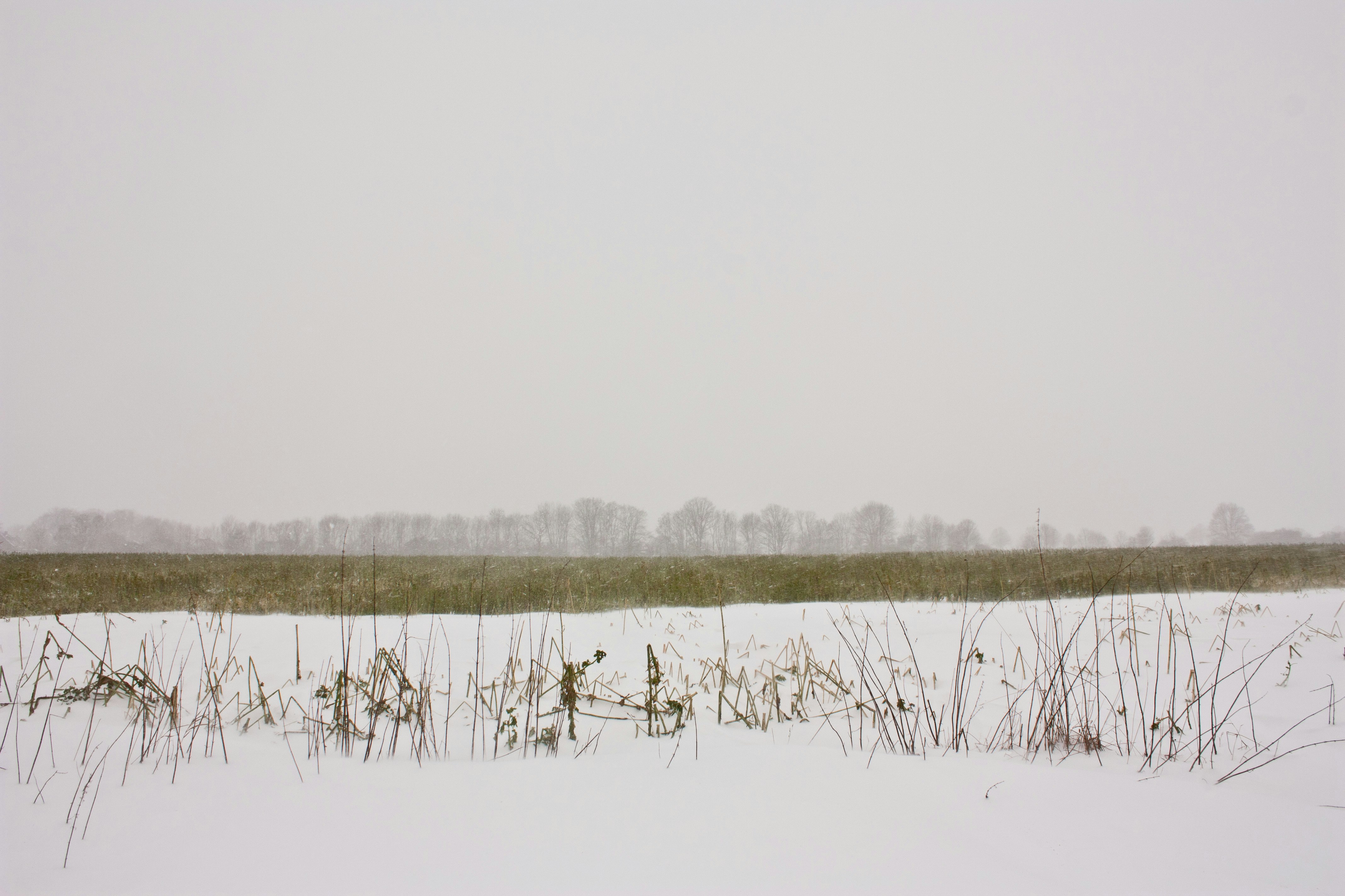 Photo by bauchredner