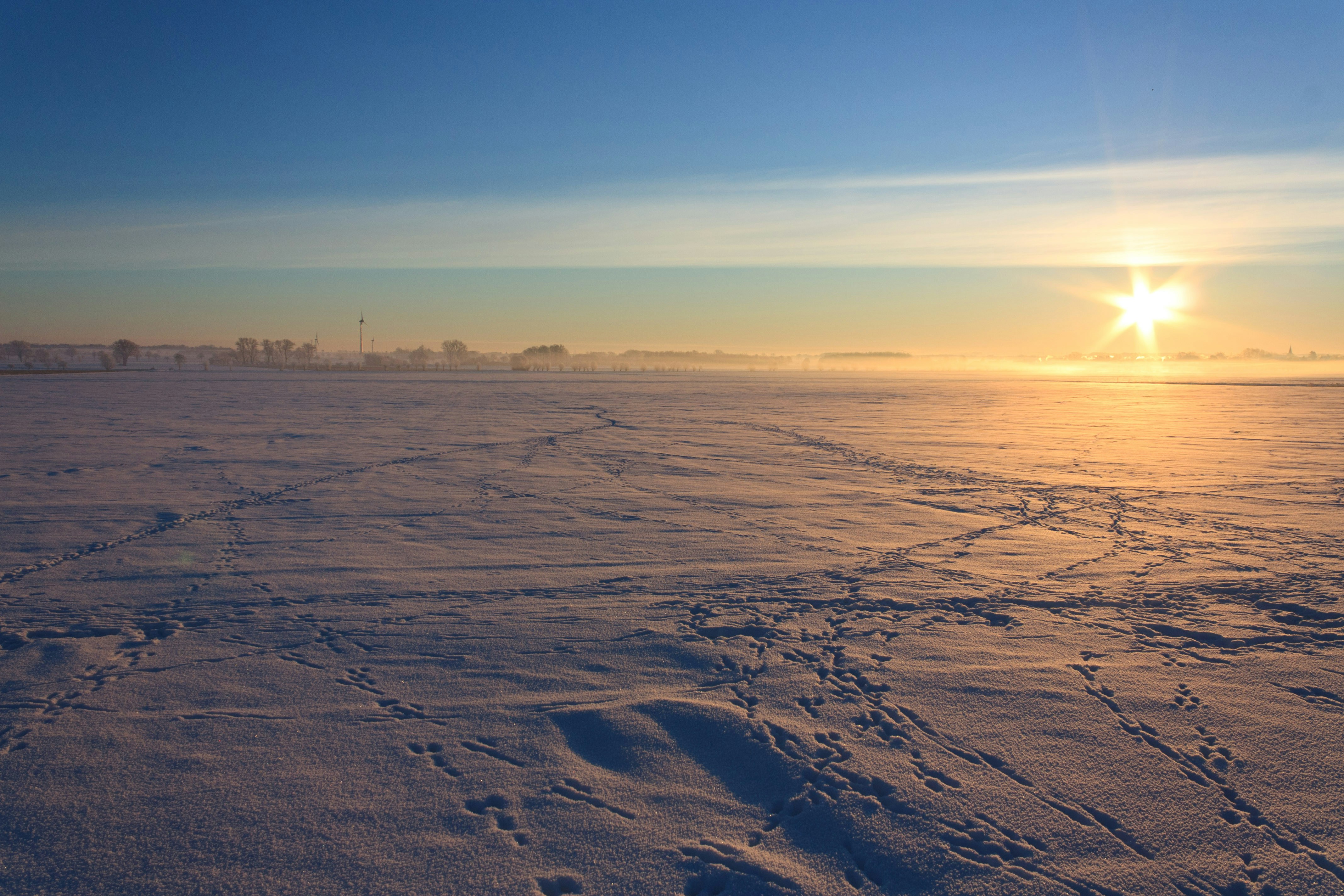 Photo by bauchredner