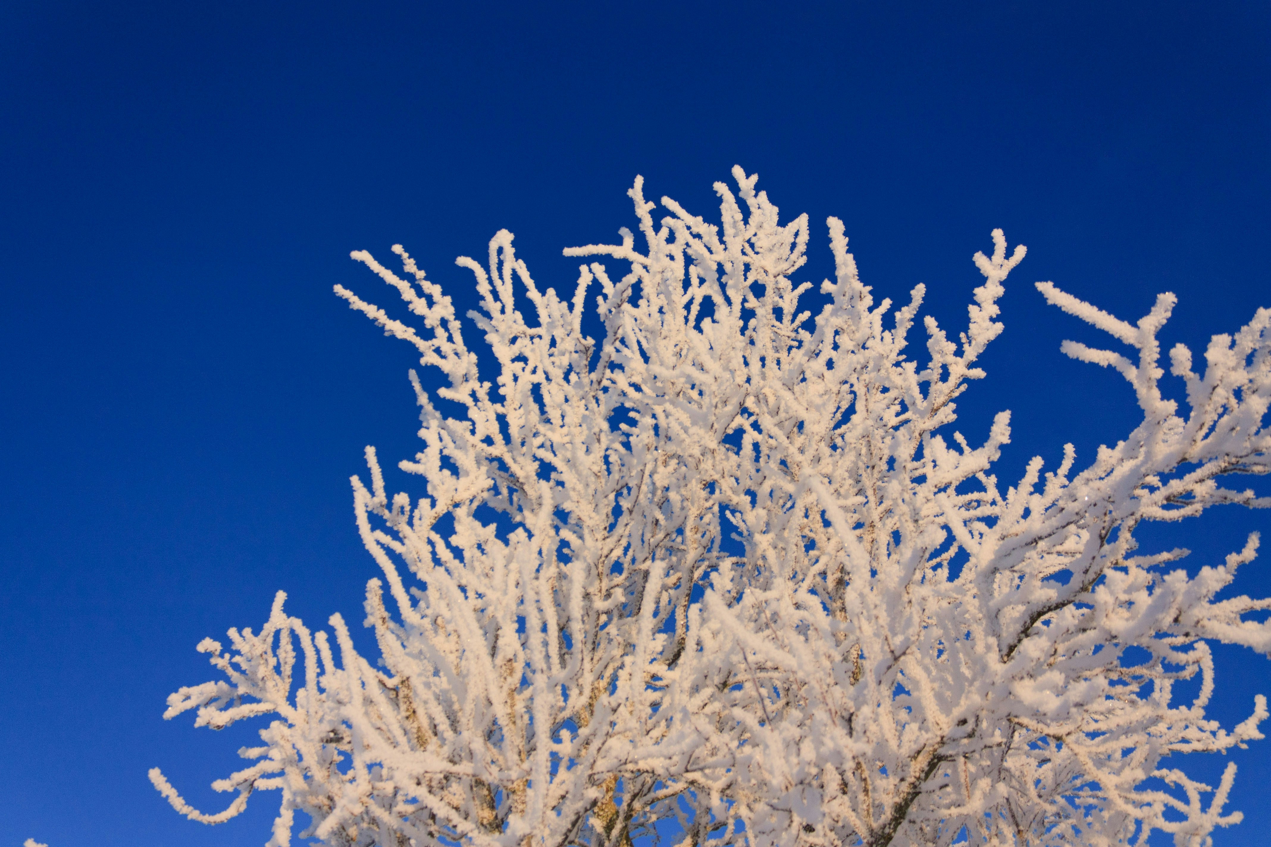 Photo by bauchredner