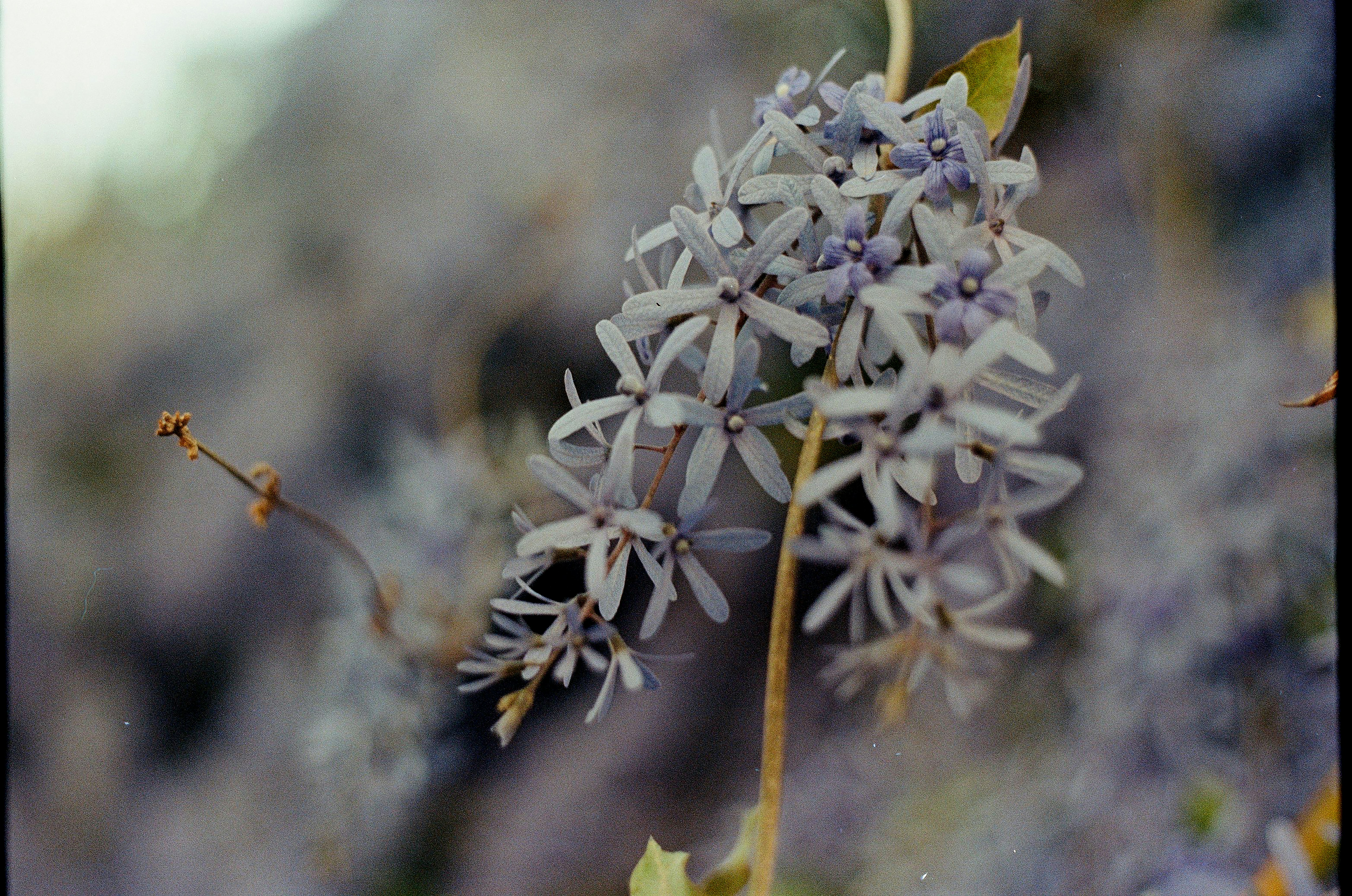 Photo by adolfofelix