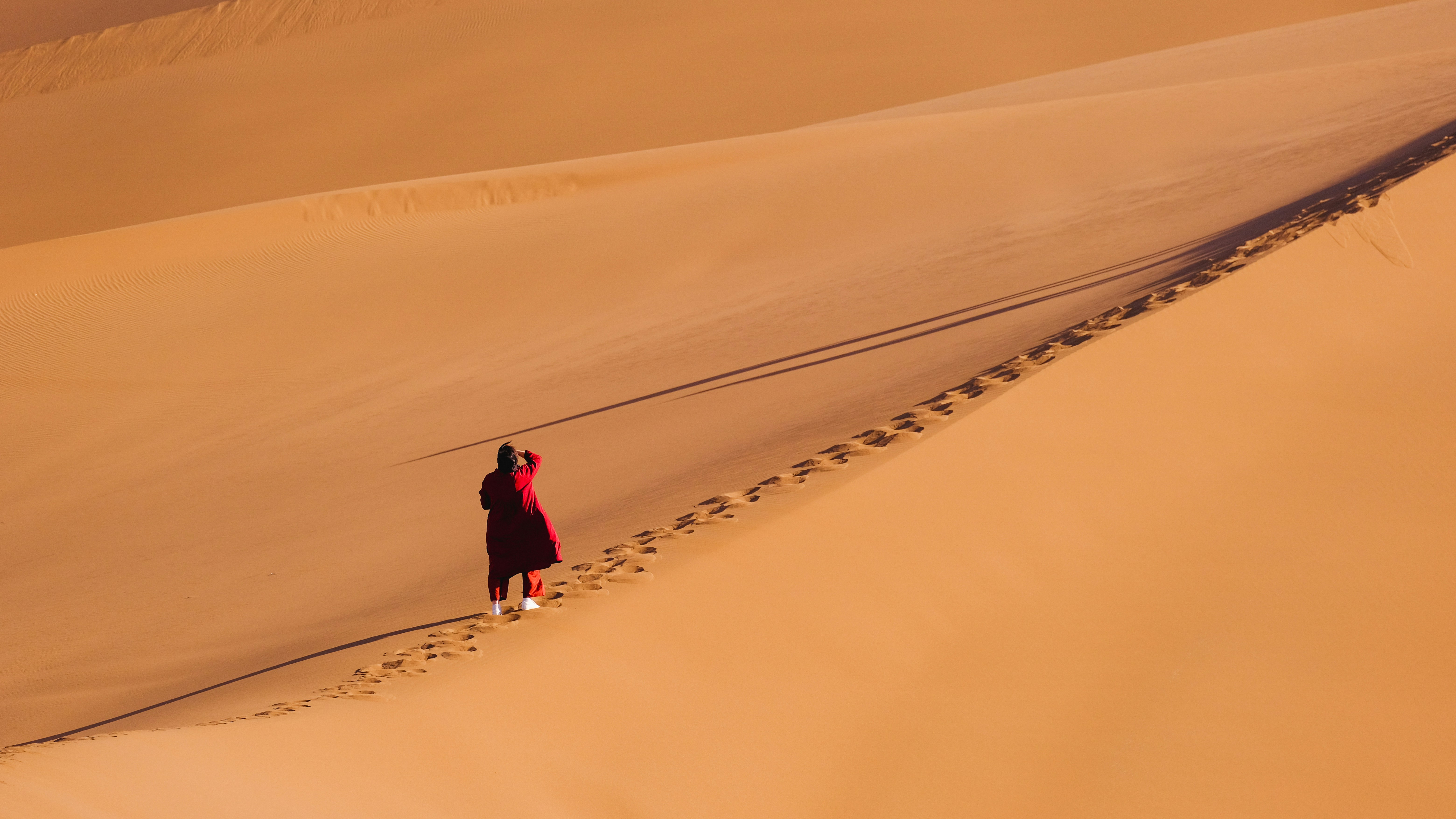 A person standing in the middle of a desert