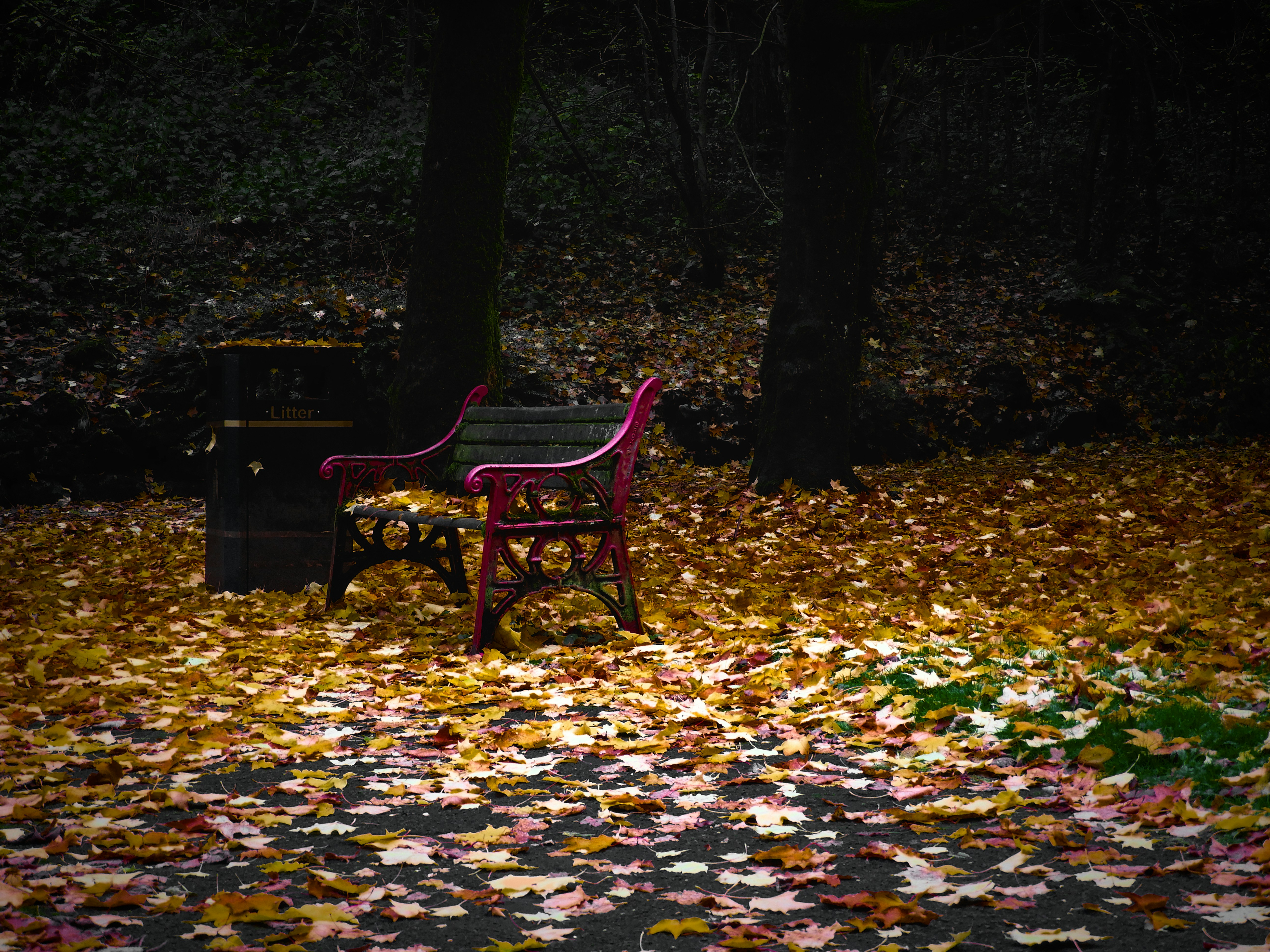 A table and chair in the middle of a field of leaves