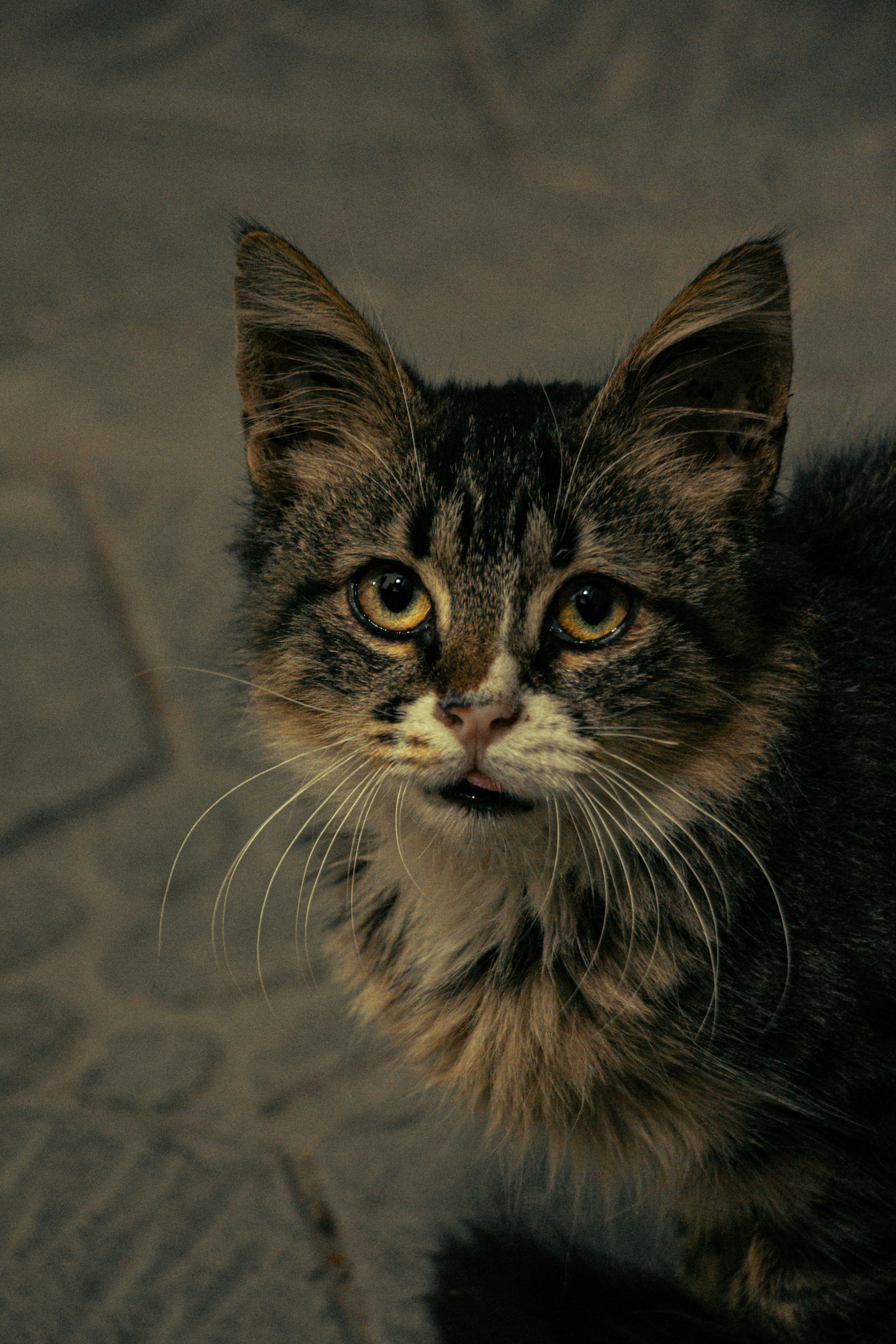 Photo by tomarquize