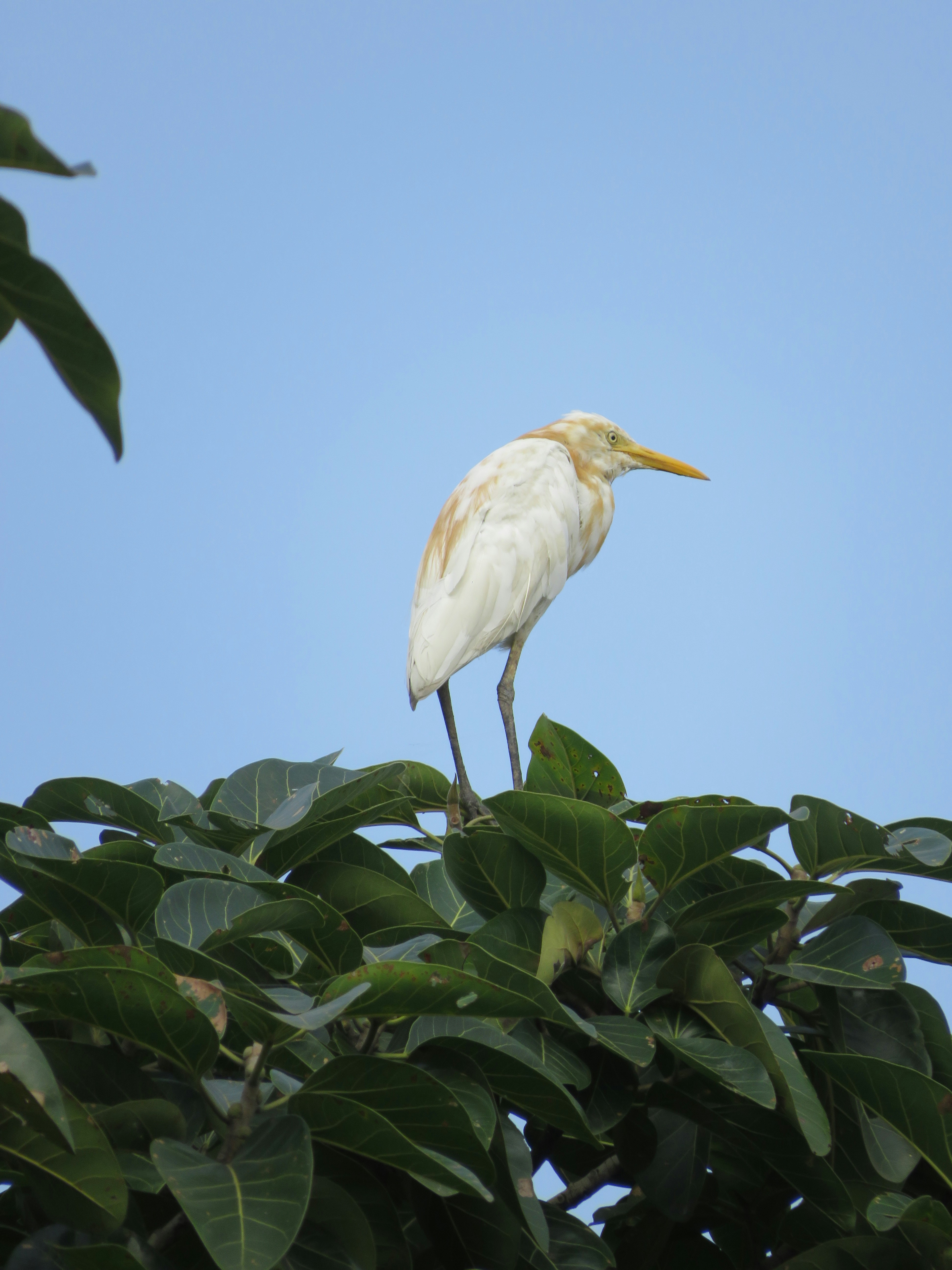 Photo by himanshu5896