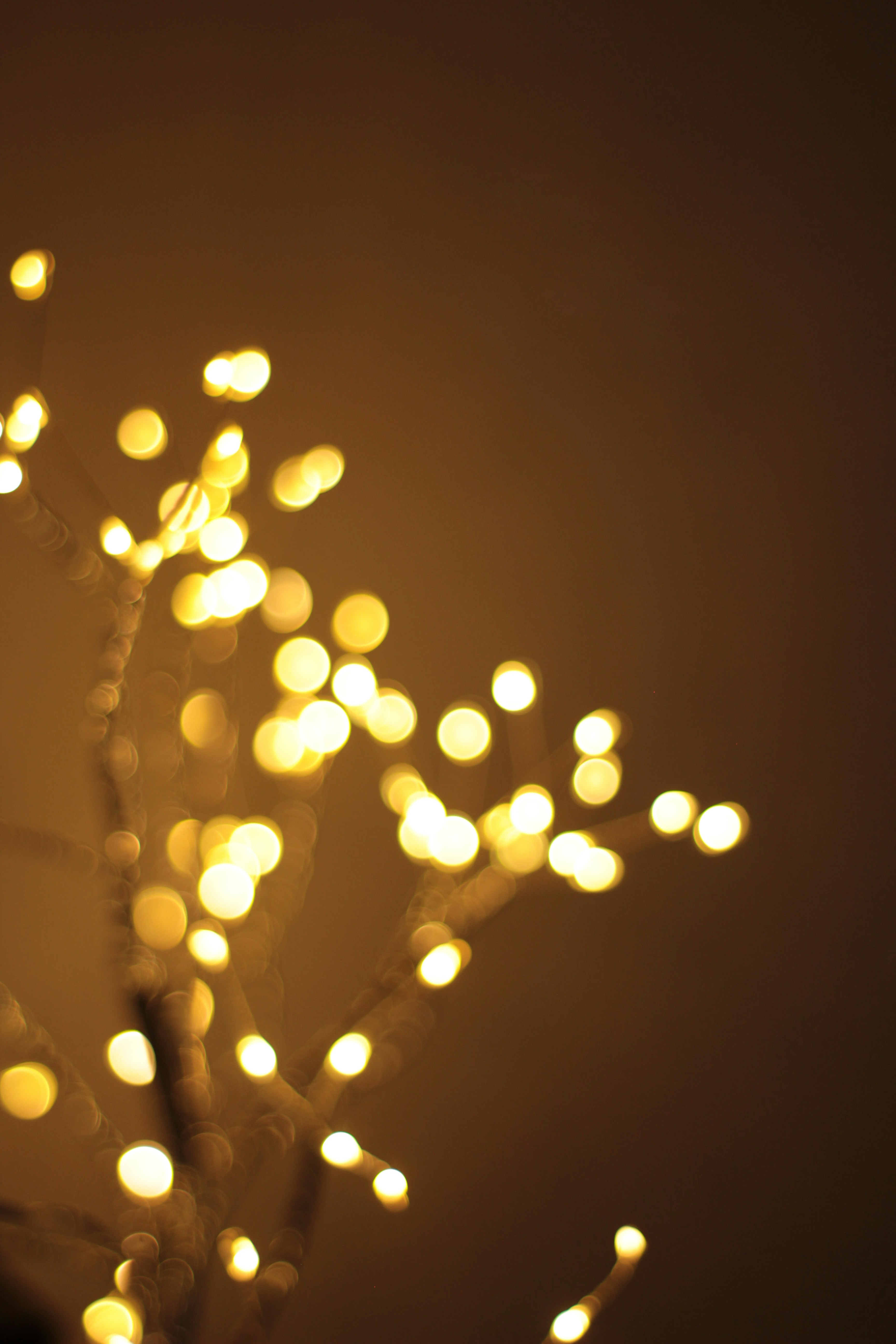 Photo by craftpaperr