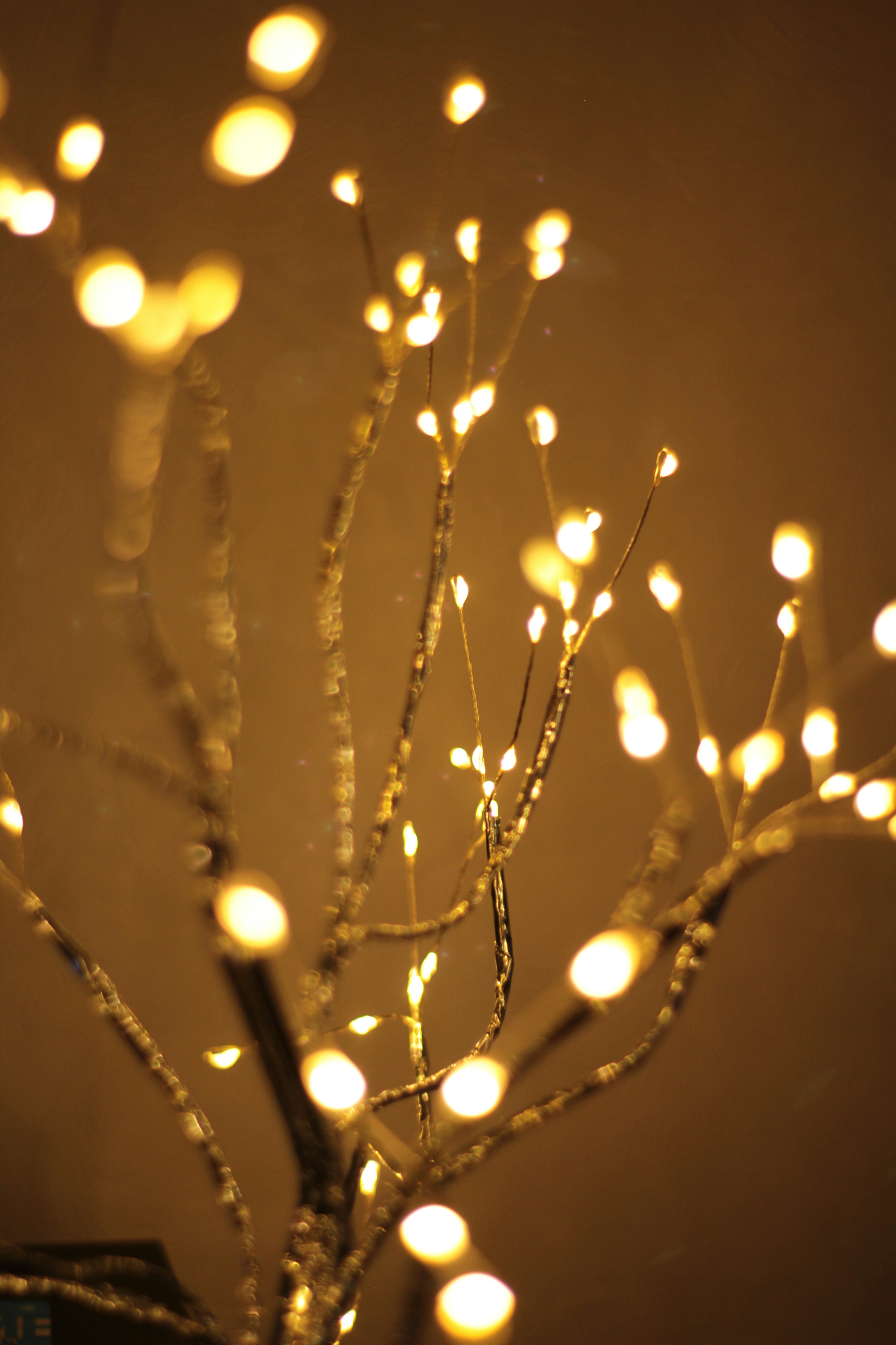 Photo by craftpaperr