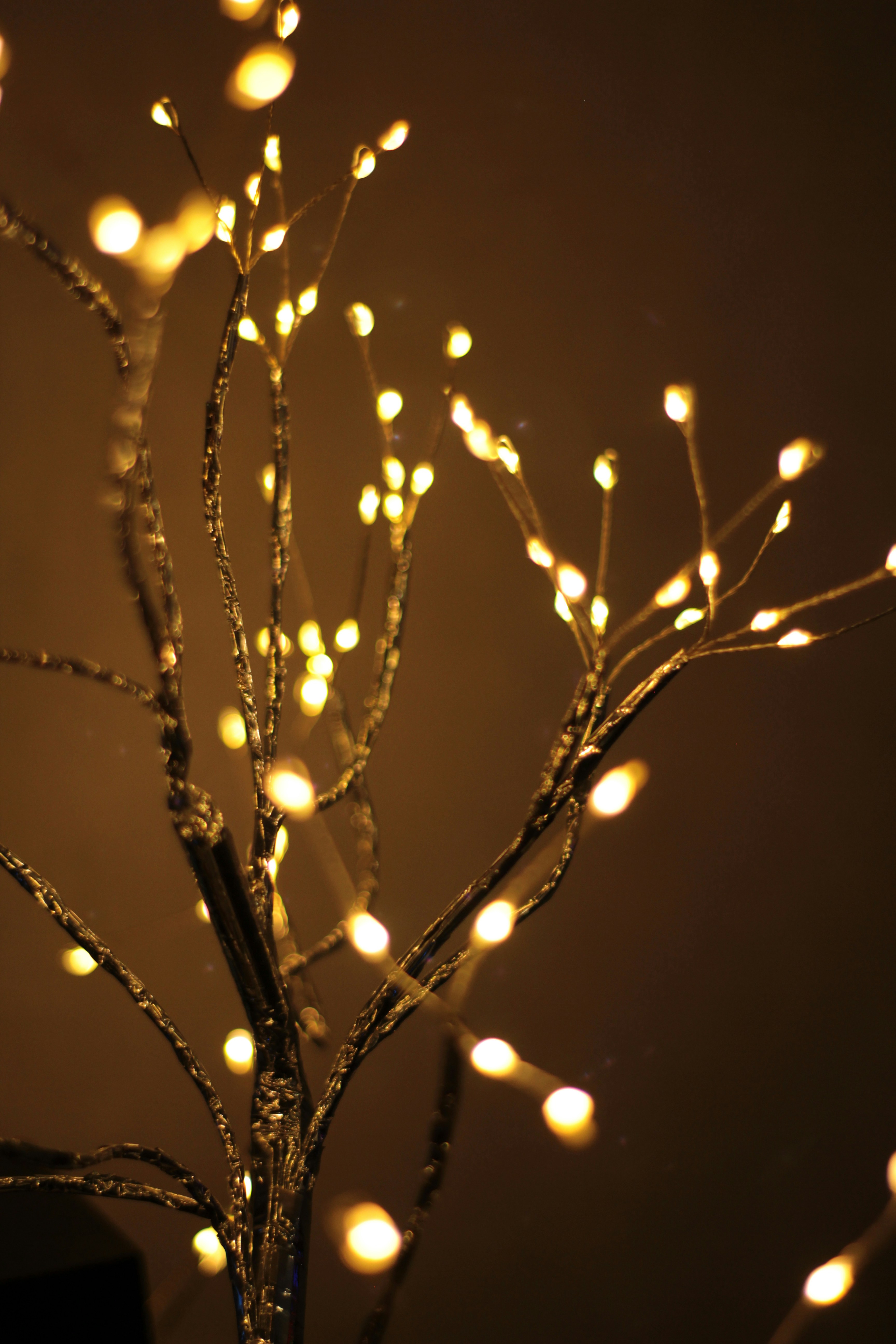 Photo by craftpaperr