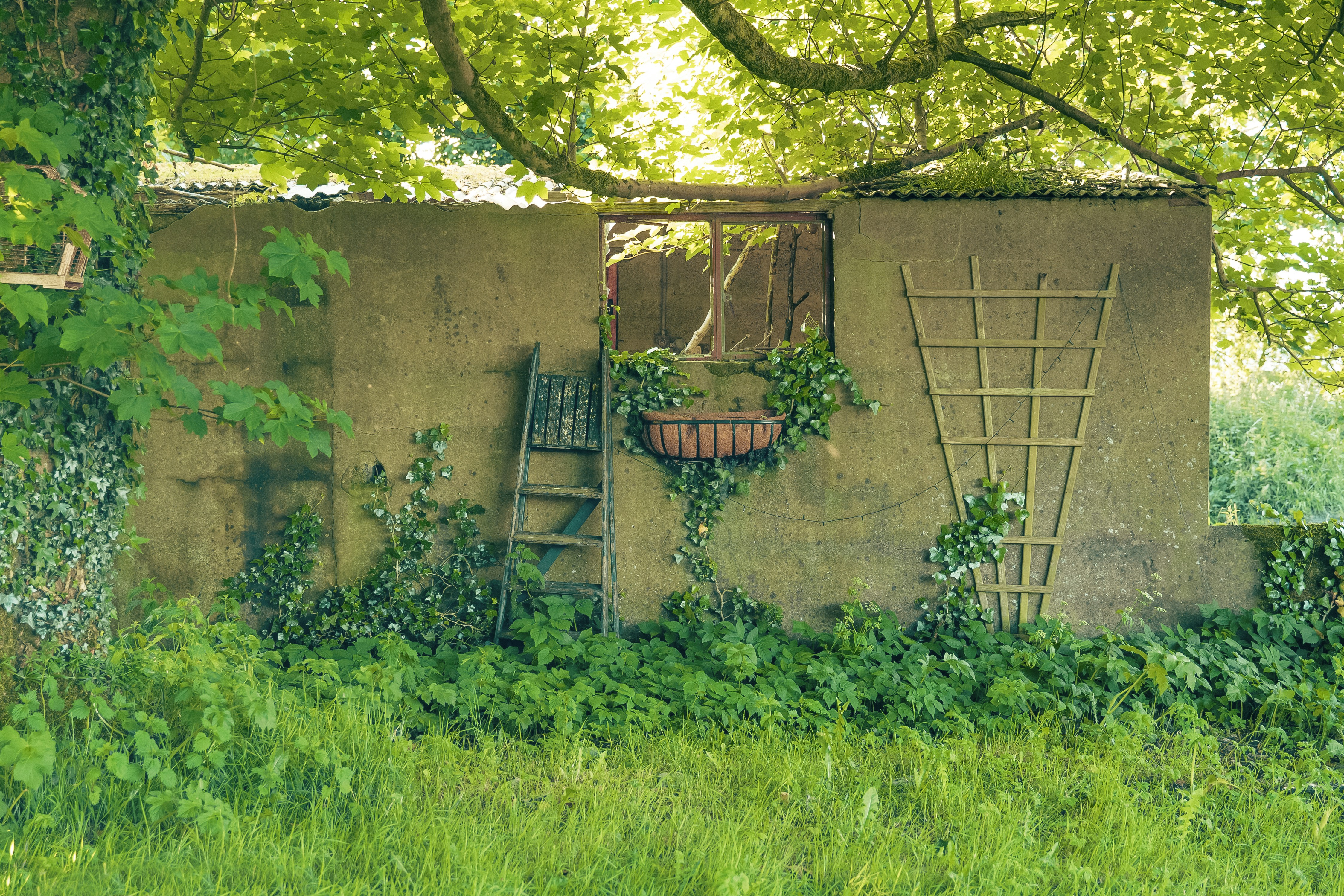 An old building with a ladder in the grass
