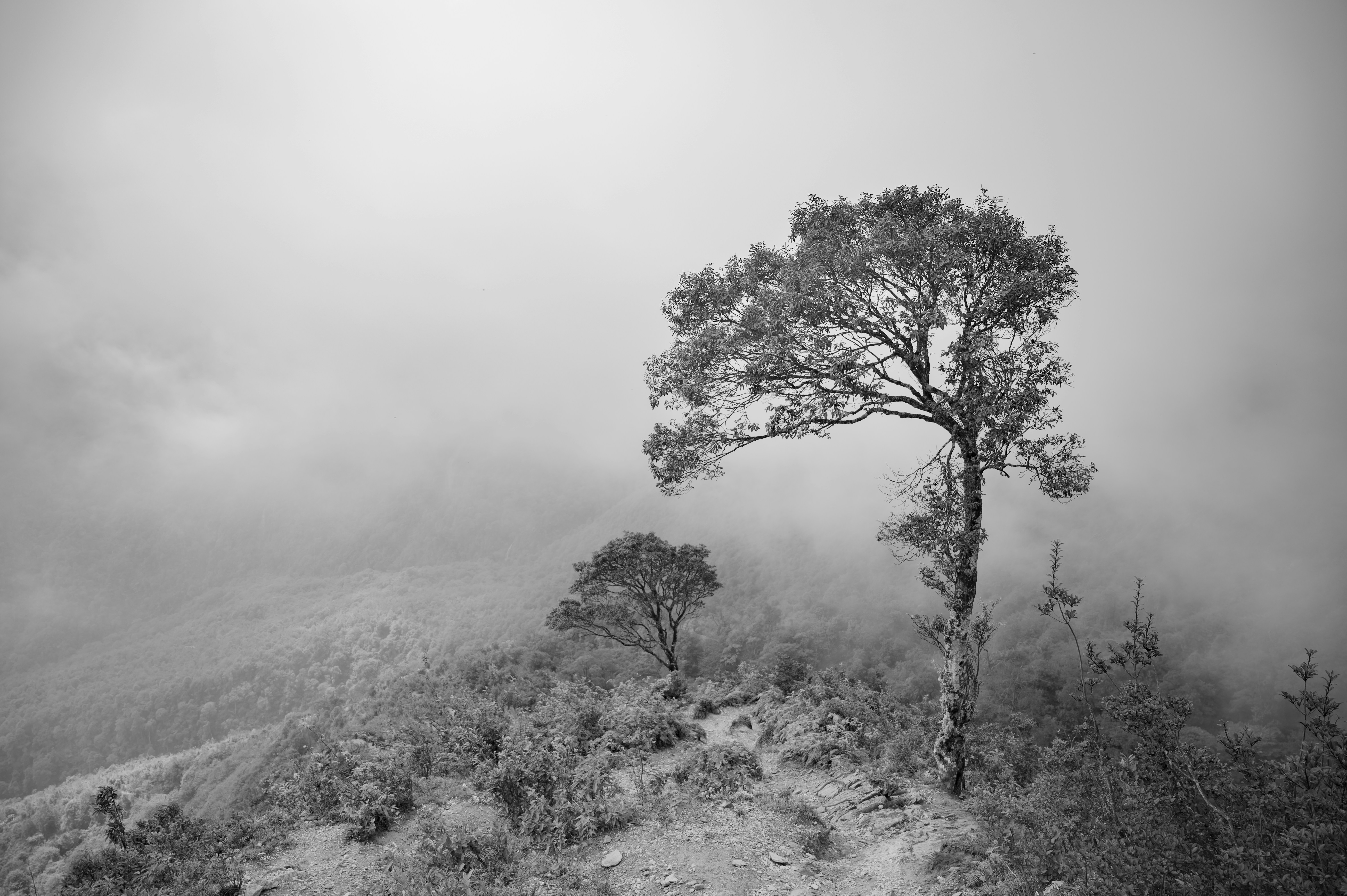 Photo by manhterry93