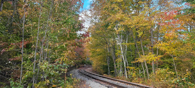 27-Day USA & Canada Rail Itinerary | October Foliage Trip
