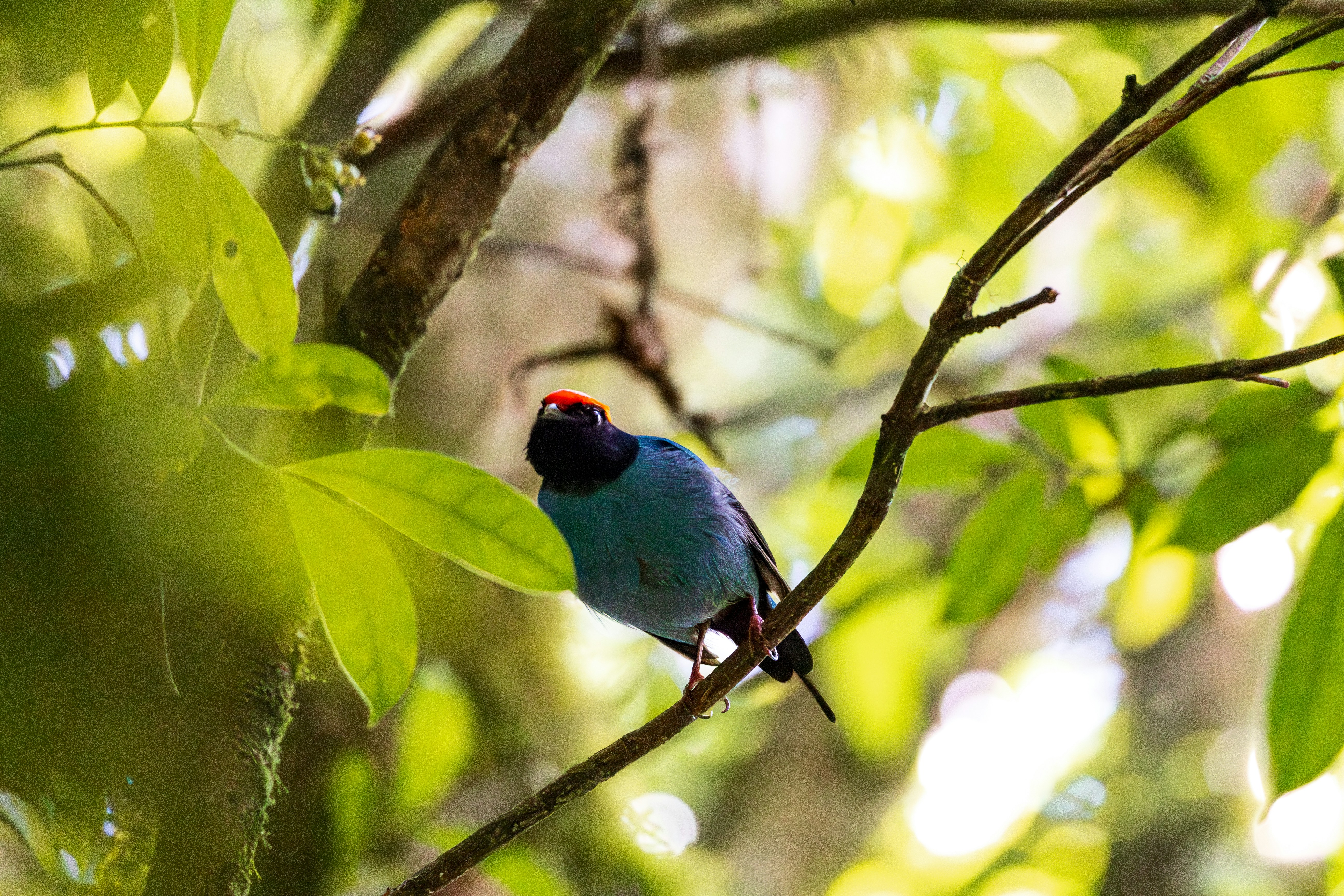 Photo by matheuskprot