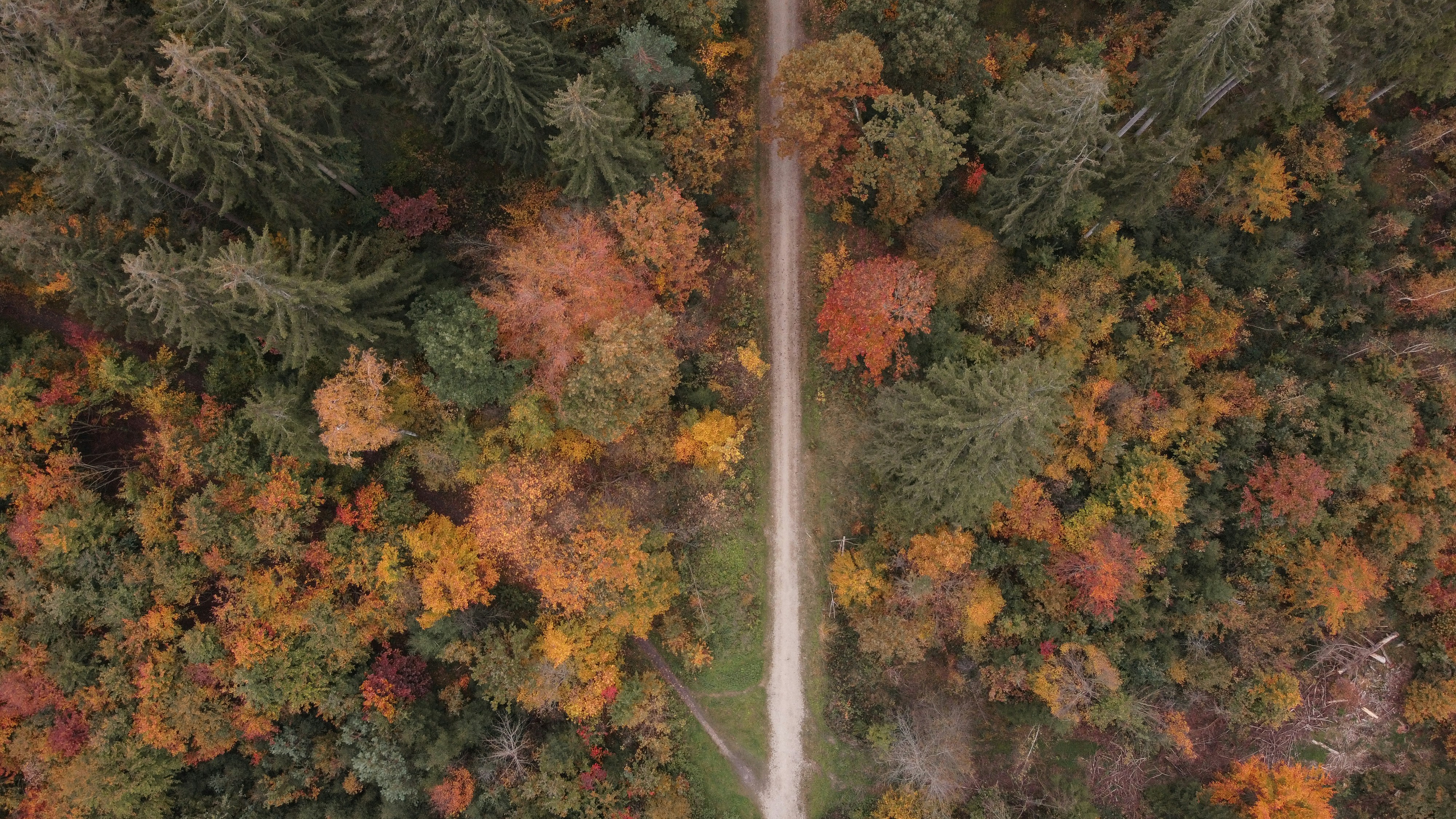 Photo by shutter_speed_