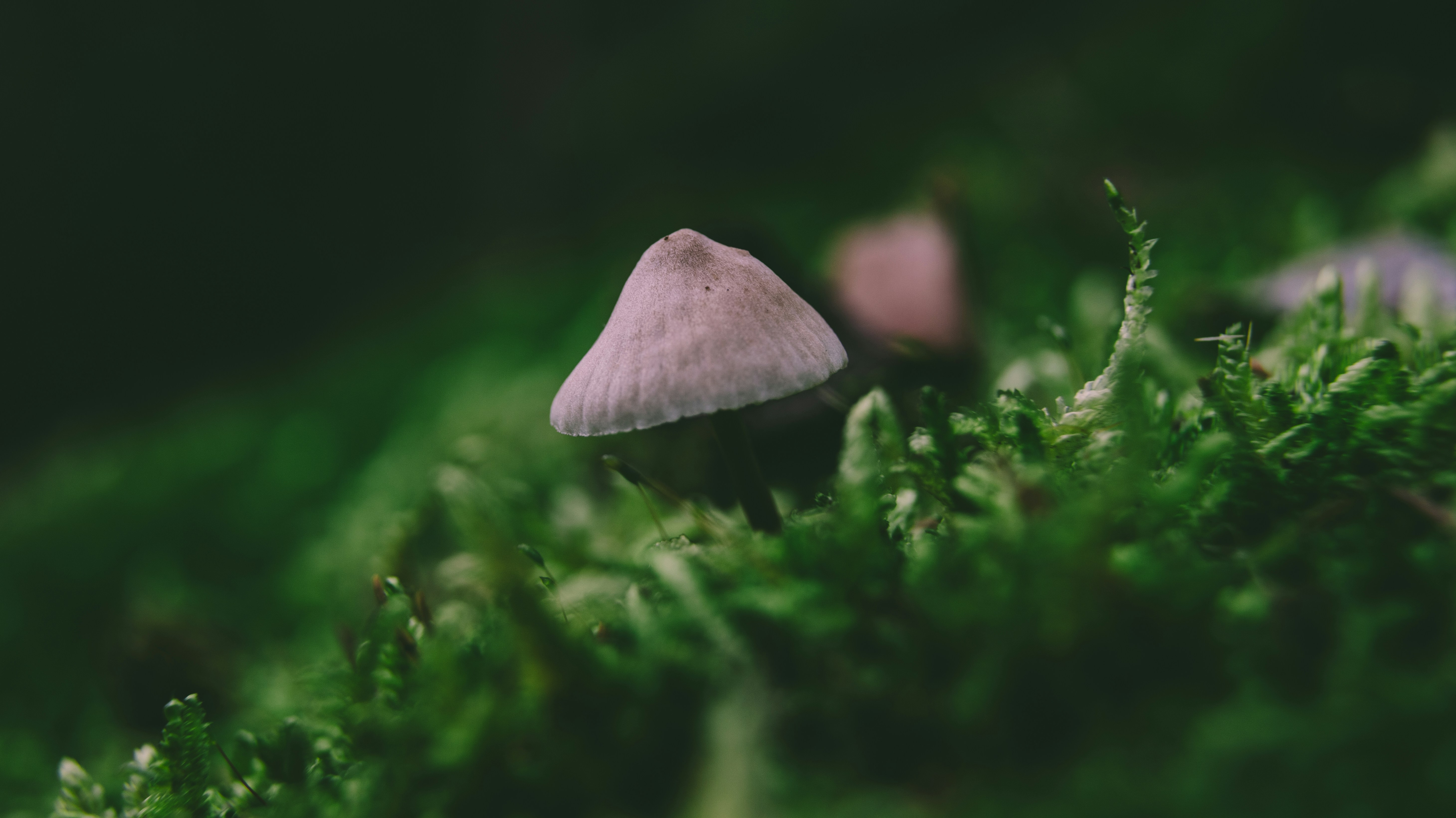 Photo by shutter_speed_