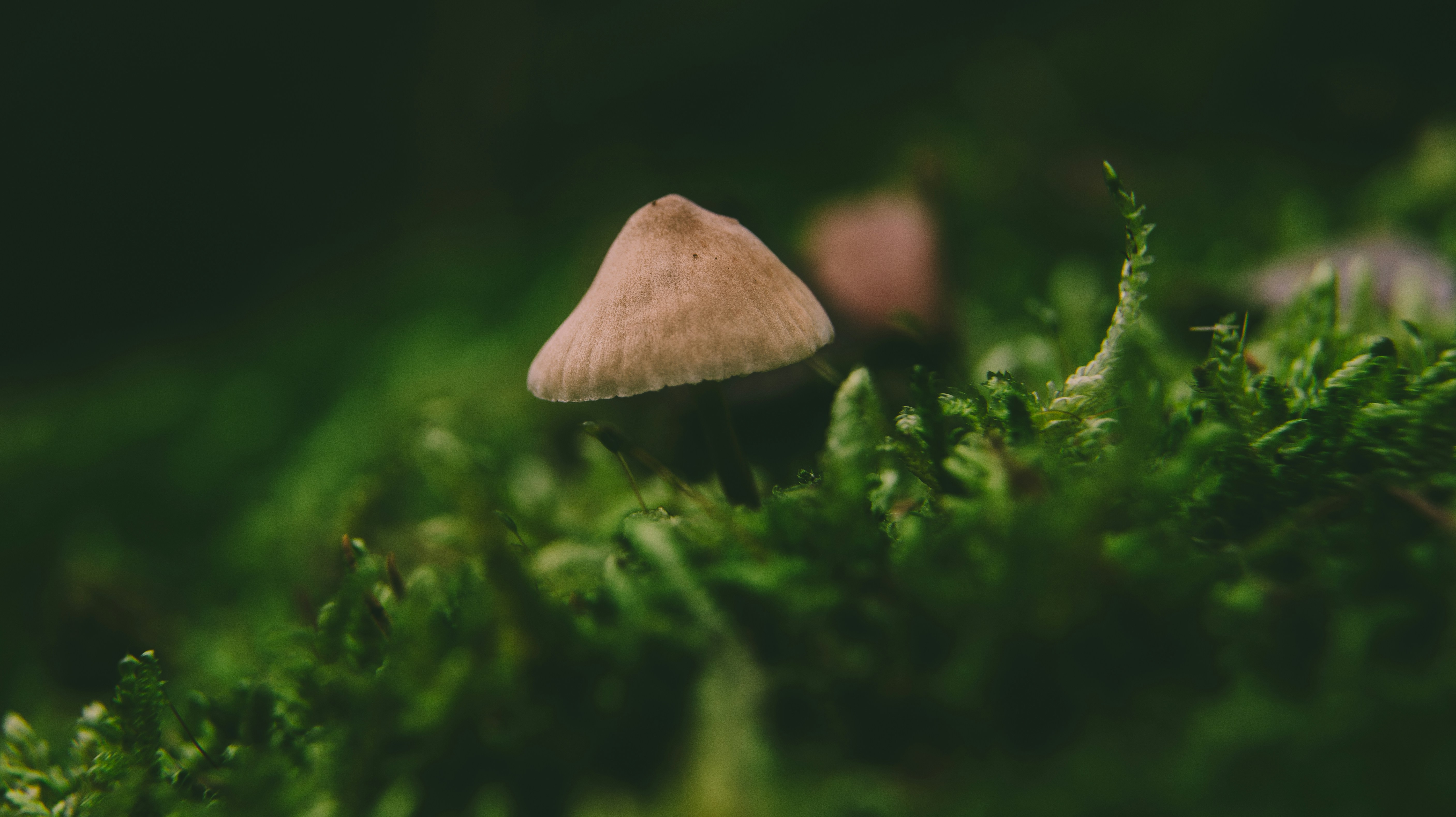 Photo by shutter_speed_