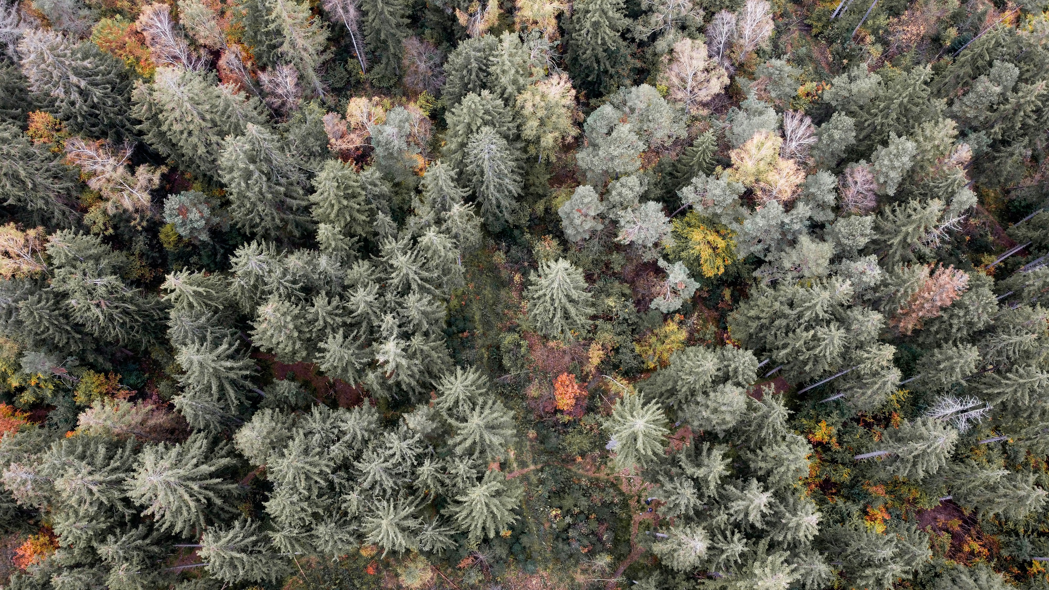 Photo by shutter_speed_