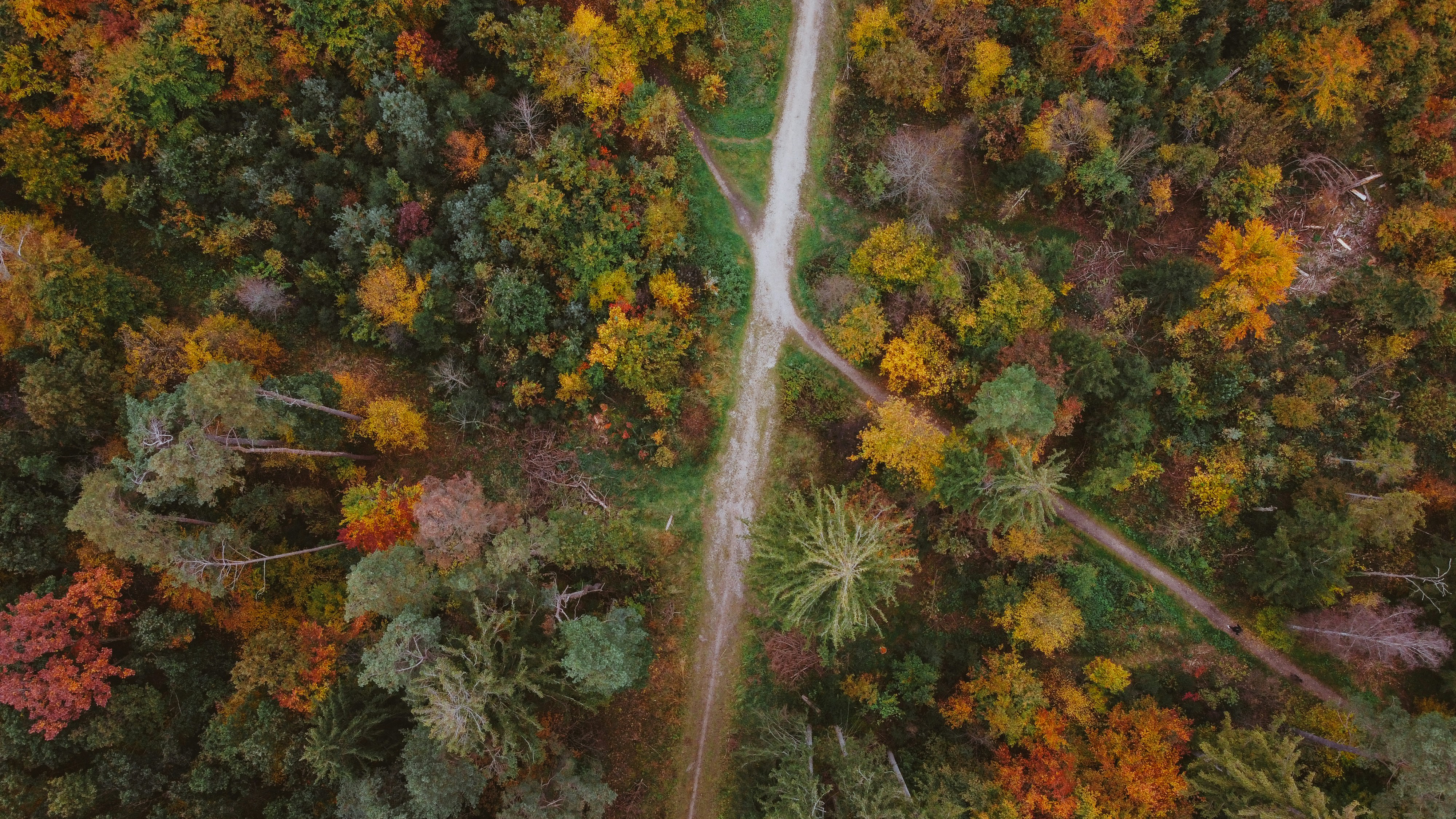 Photo by shutter_speed_