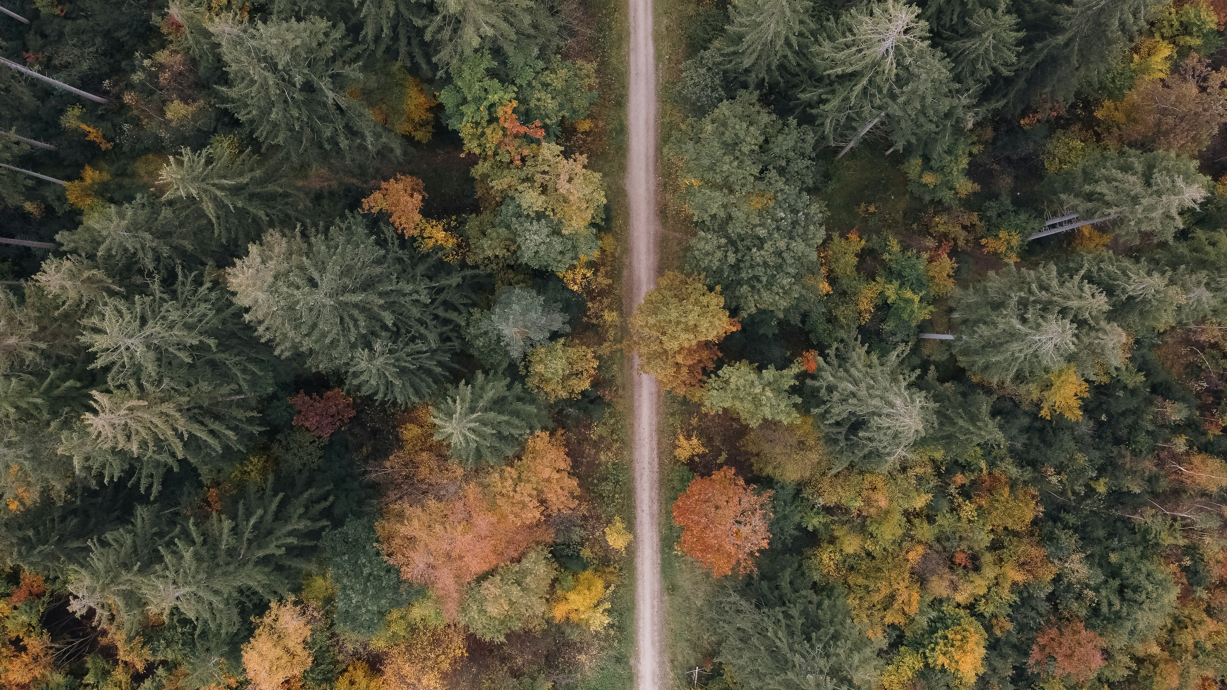 Photo by shutter_speed_