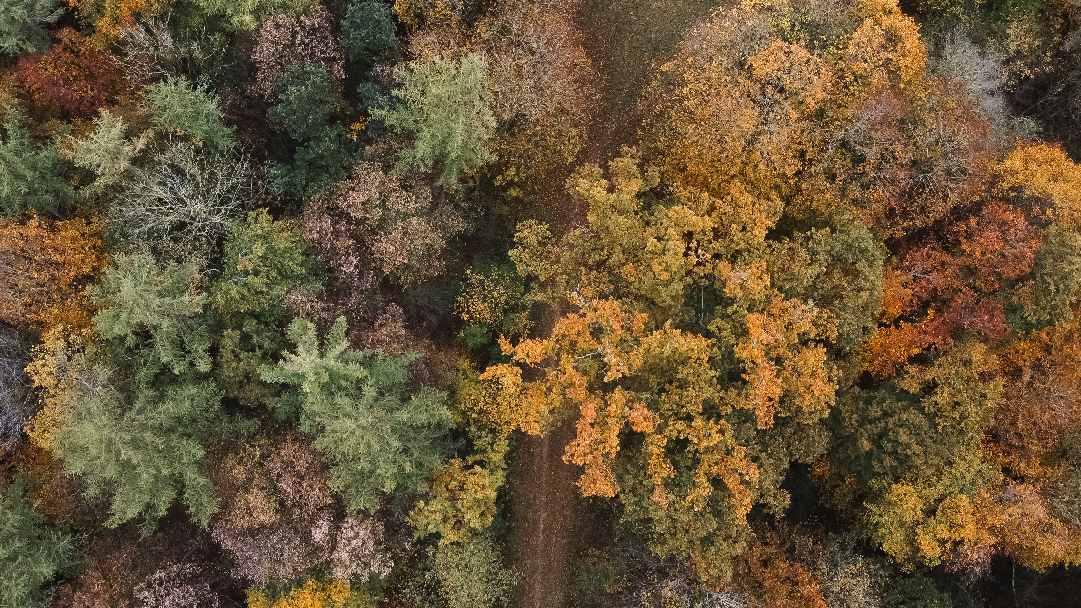 Photo by shutter_speed_